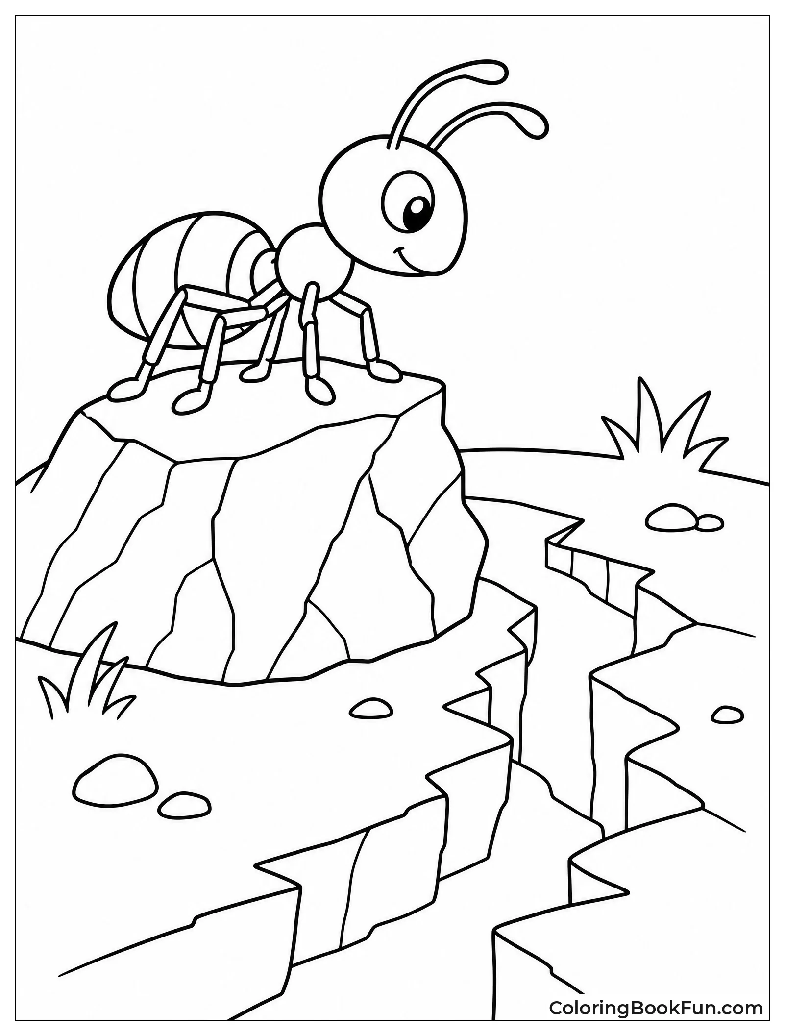 Ant Stands on Pebble