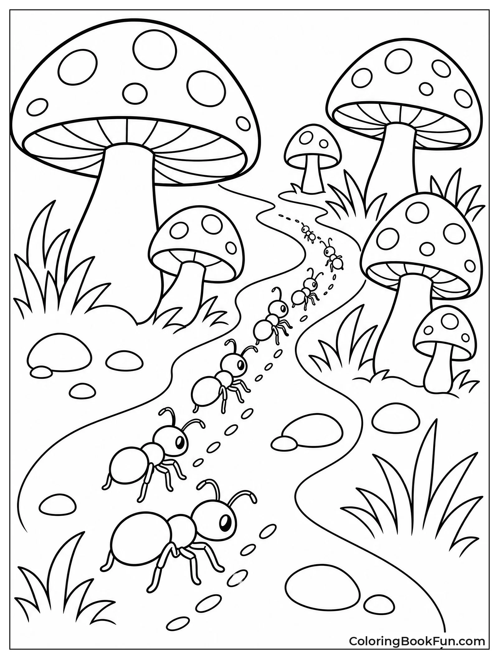 Ants Follow Mushroom Trail