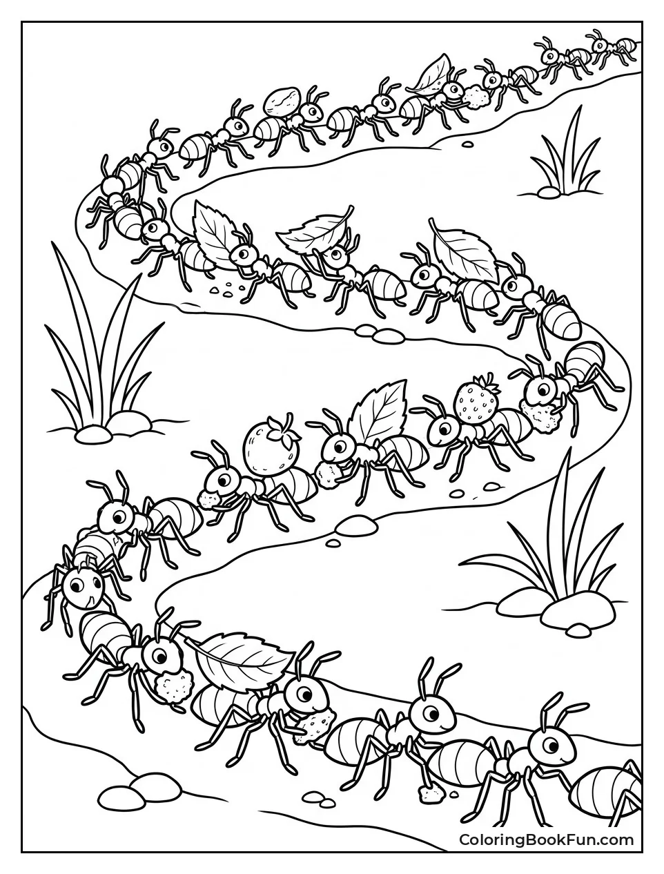 Ants Marching in Long Trail