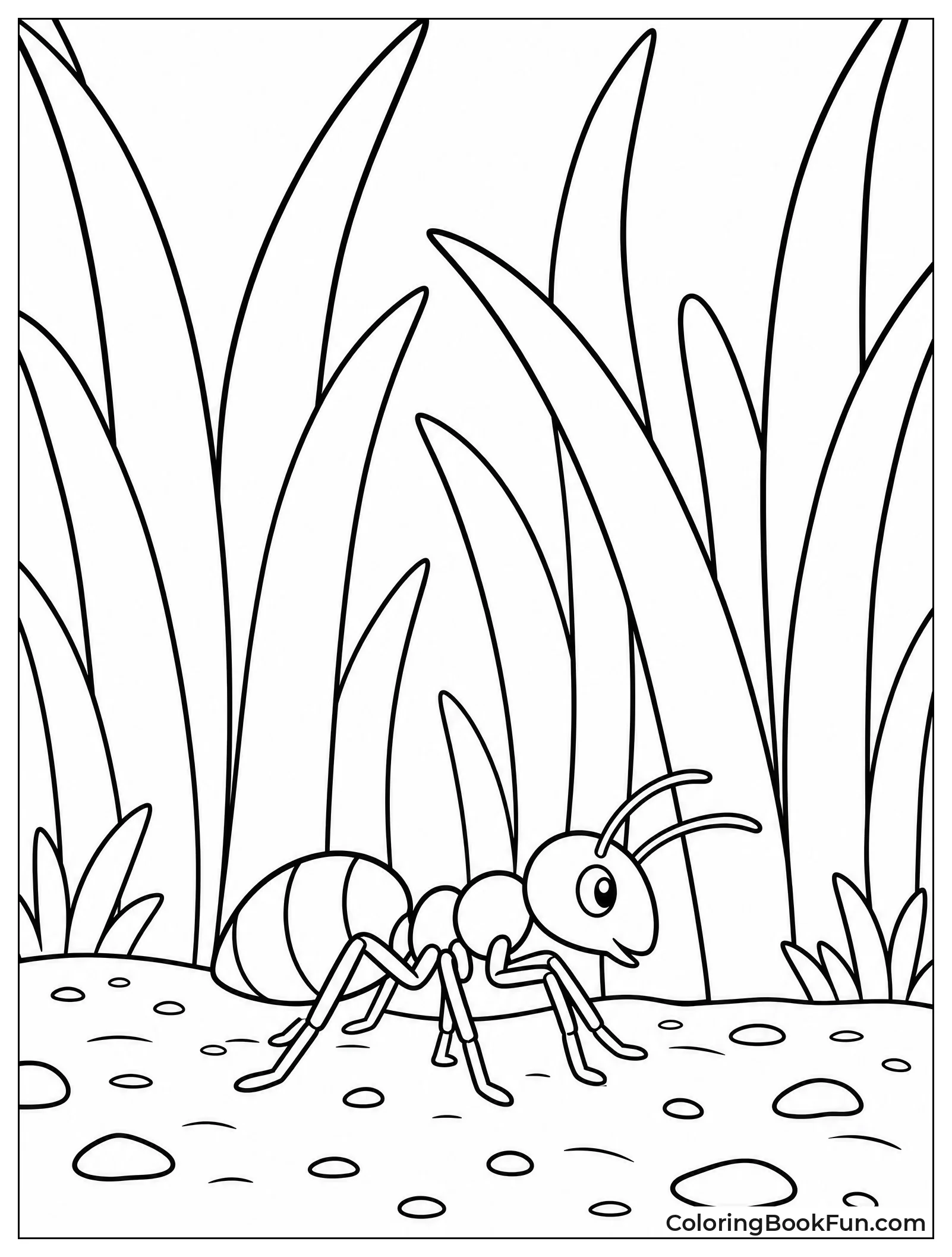 Ant Walks Through Tall Grass
