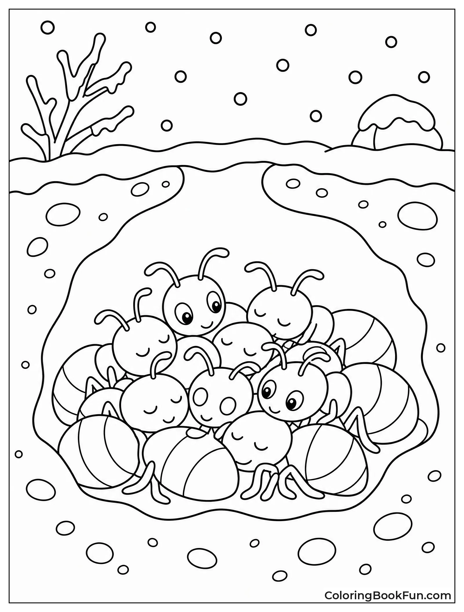 Ants Huddle to Stay Warm