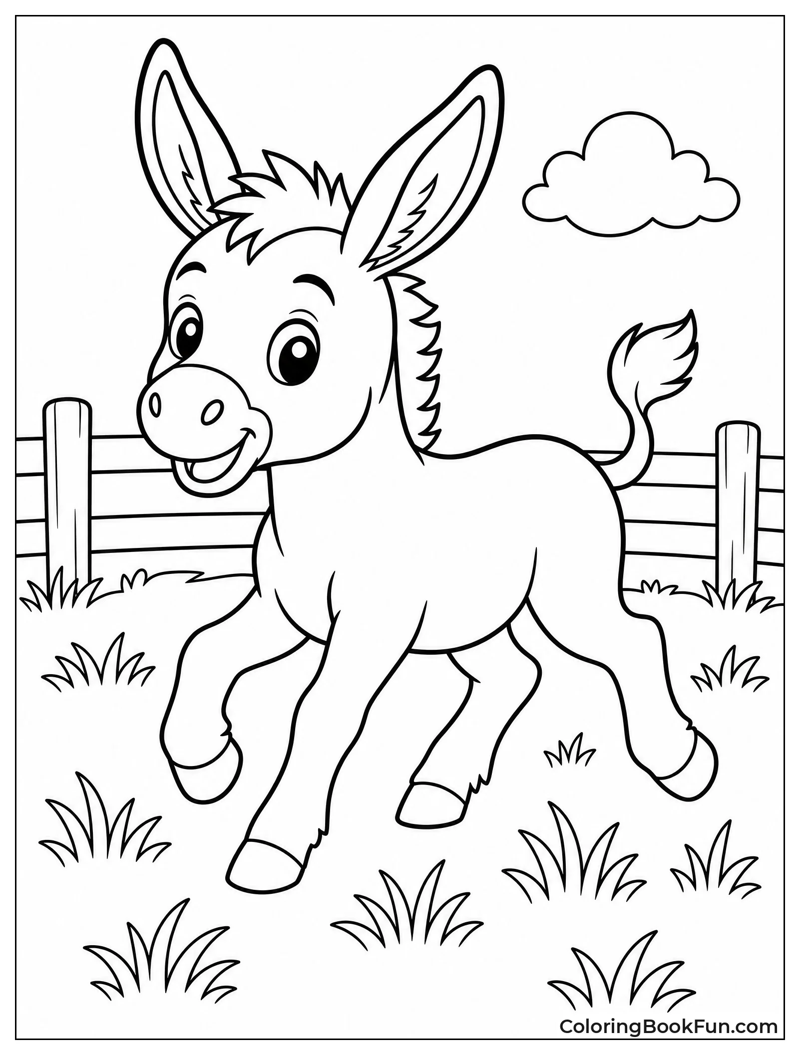 Baby Donkey Trots in Field