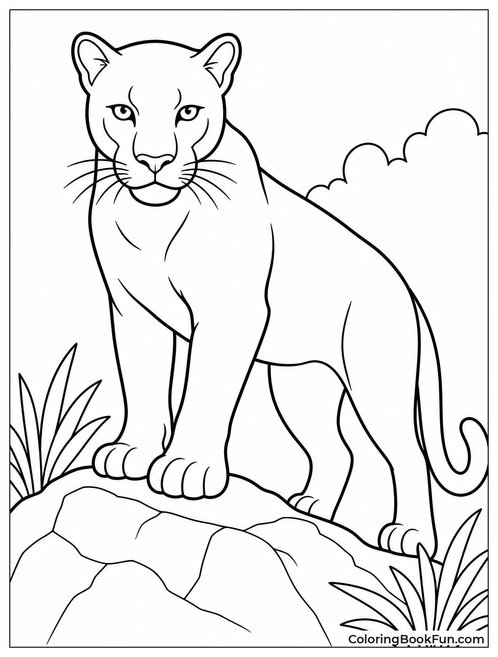 Black Panther Standing on Rock