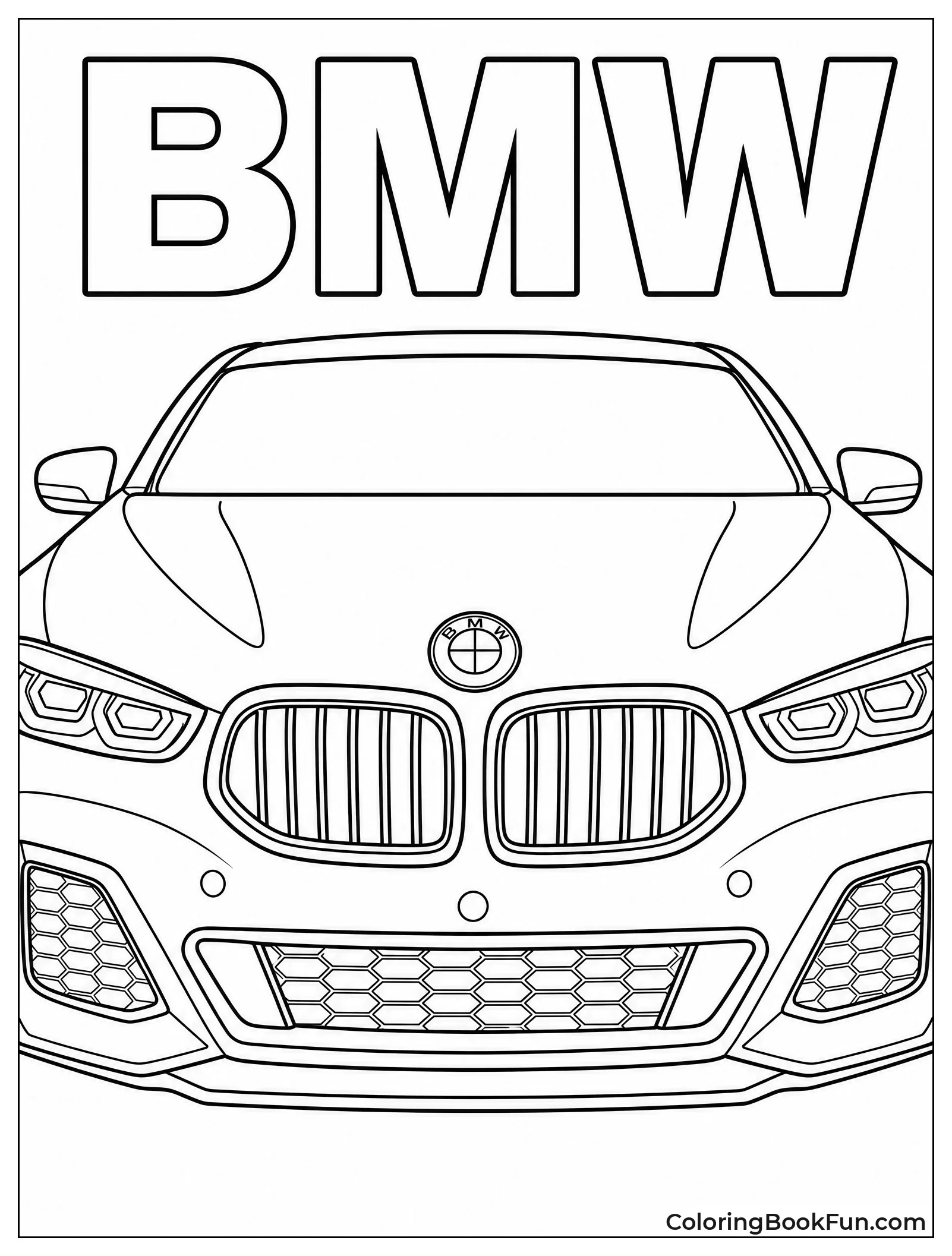 BMW Kidney Grille Up Close