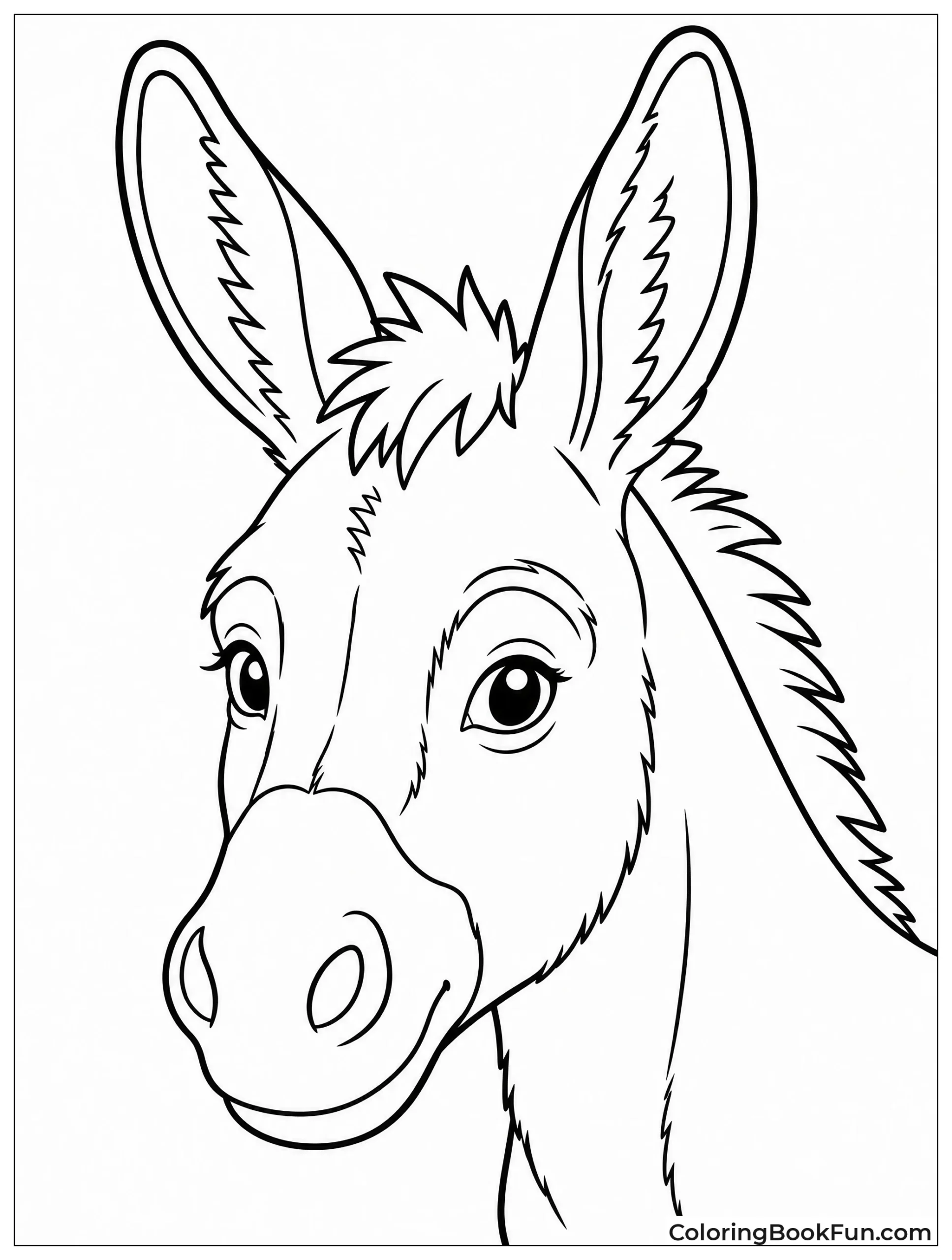 Donkey Close Up Portrait