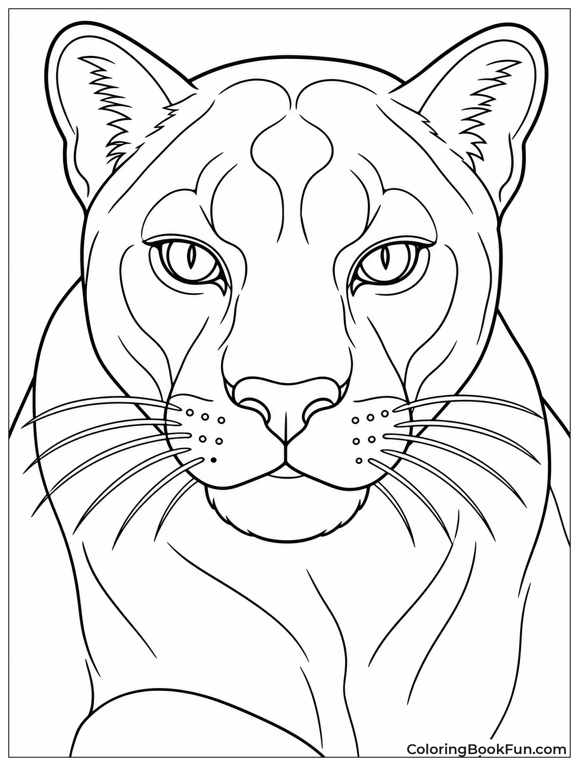 Close Up of Panther Face