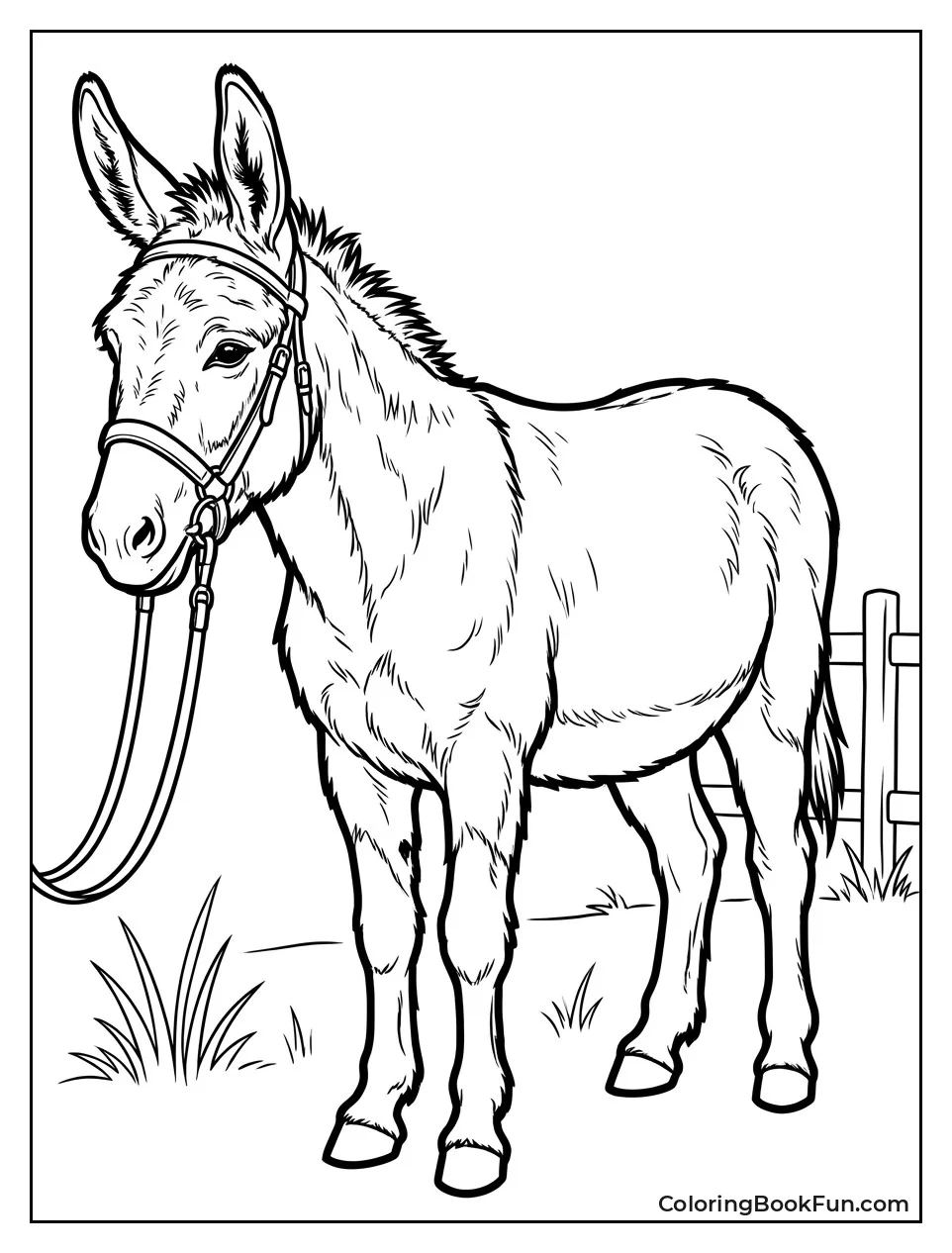 Realistic Donkey with Bridle
