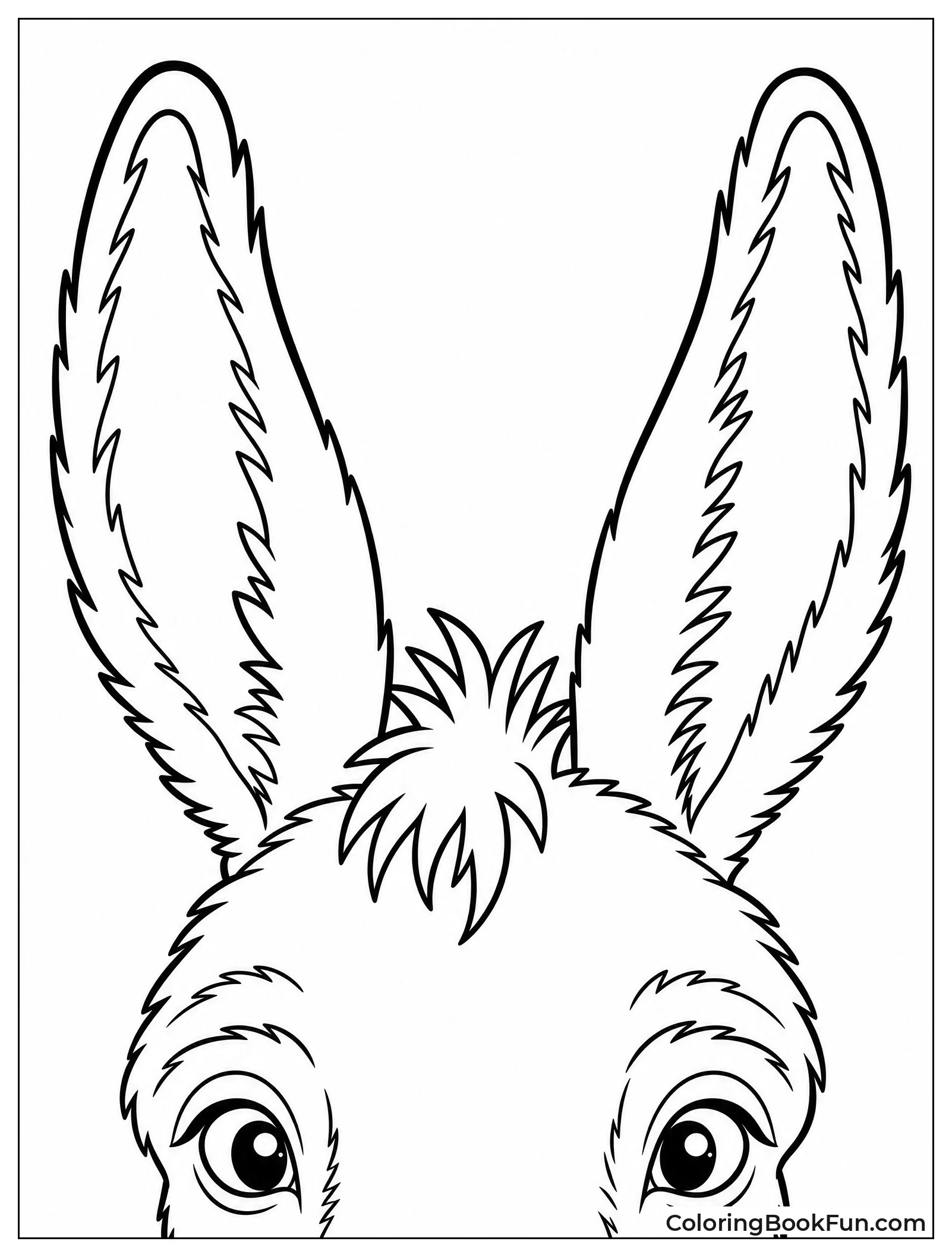 Donkey Ears Close Up