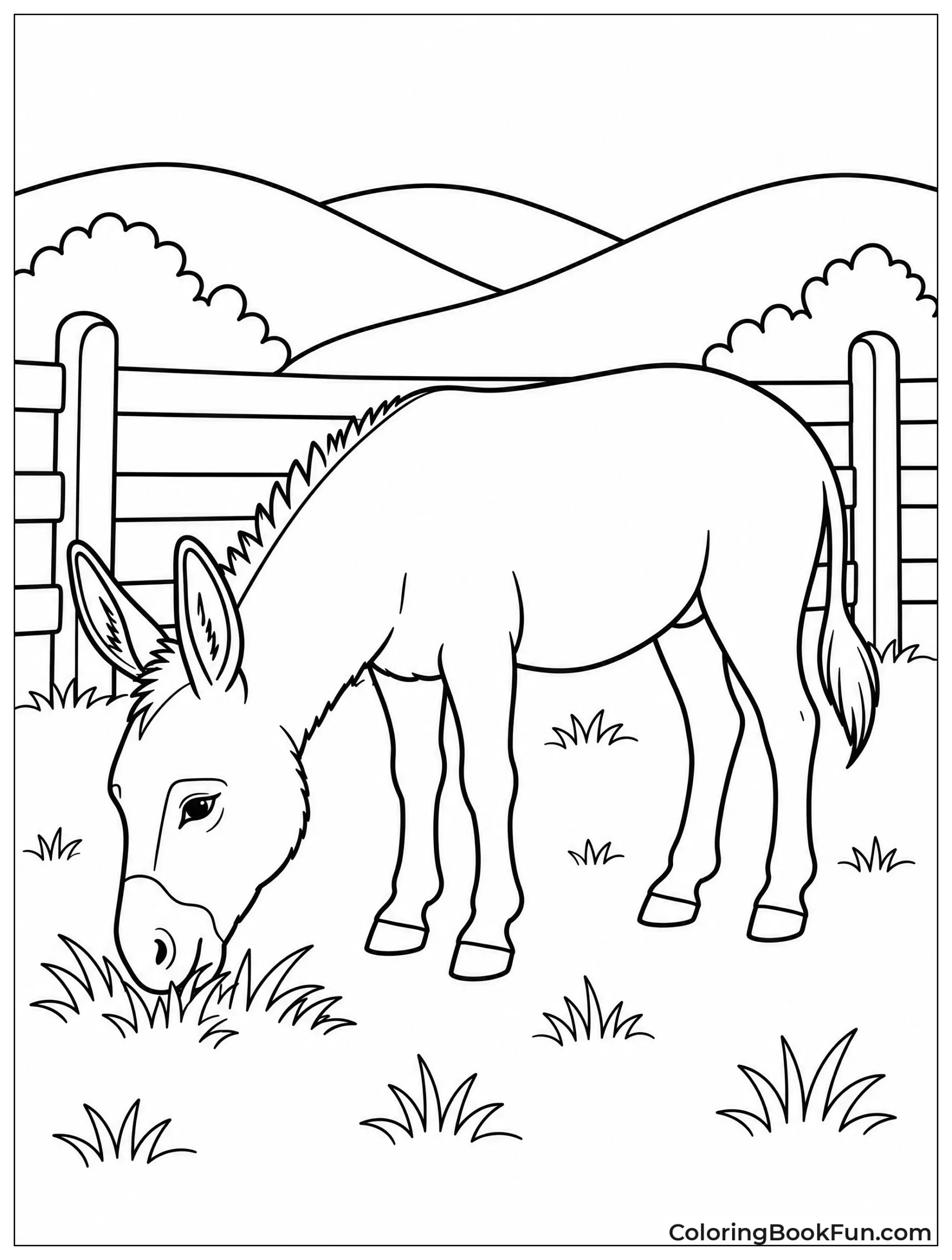 Donkey Grazes in Meadow