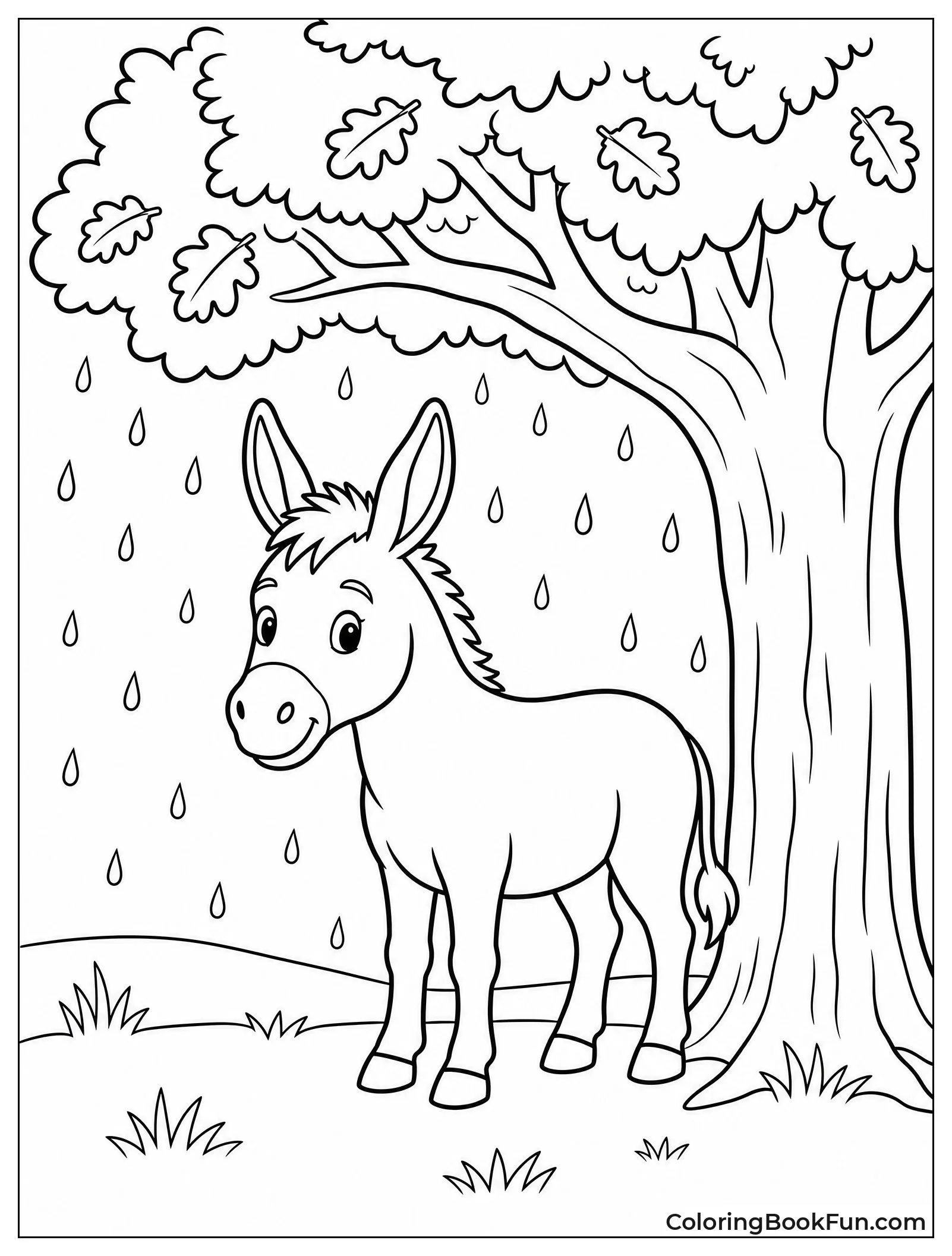 Donkey Stands in Rain