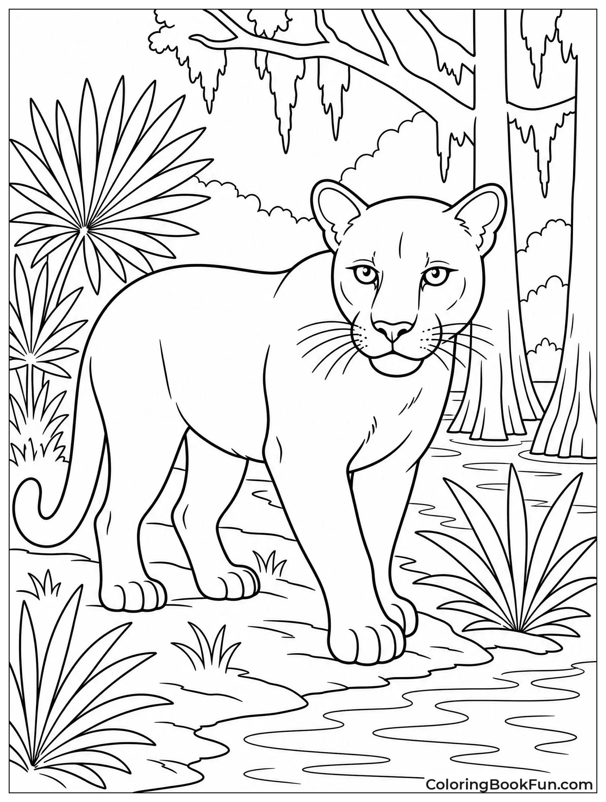 Florida Panther Walking in Swamp