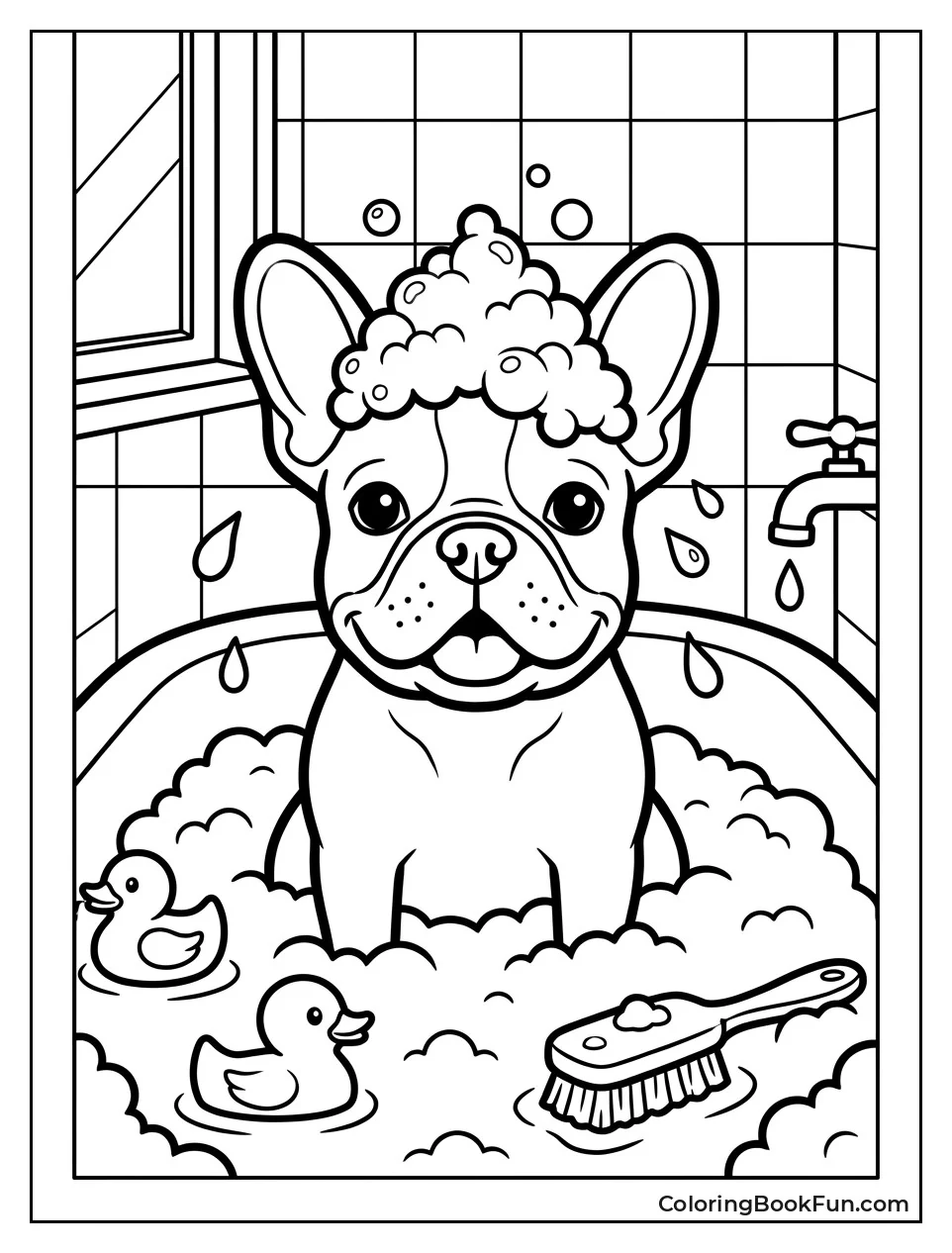 Frenchie Wears Bubbles Like Crown