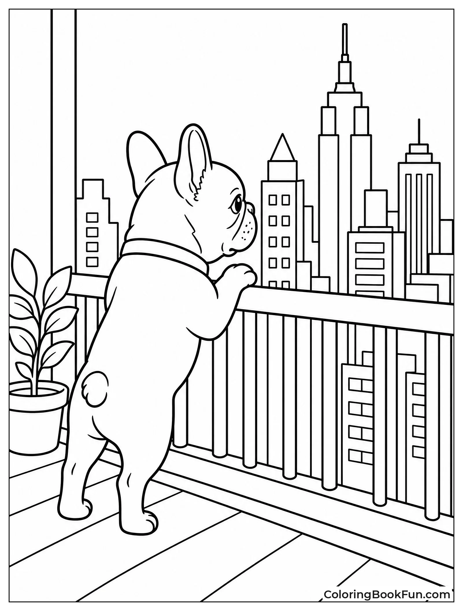 Frenchie Views City from Balcony