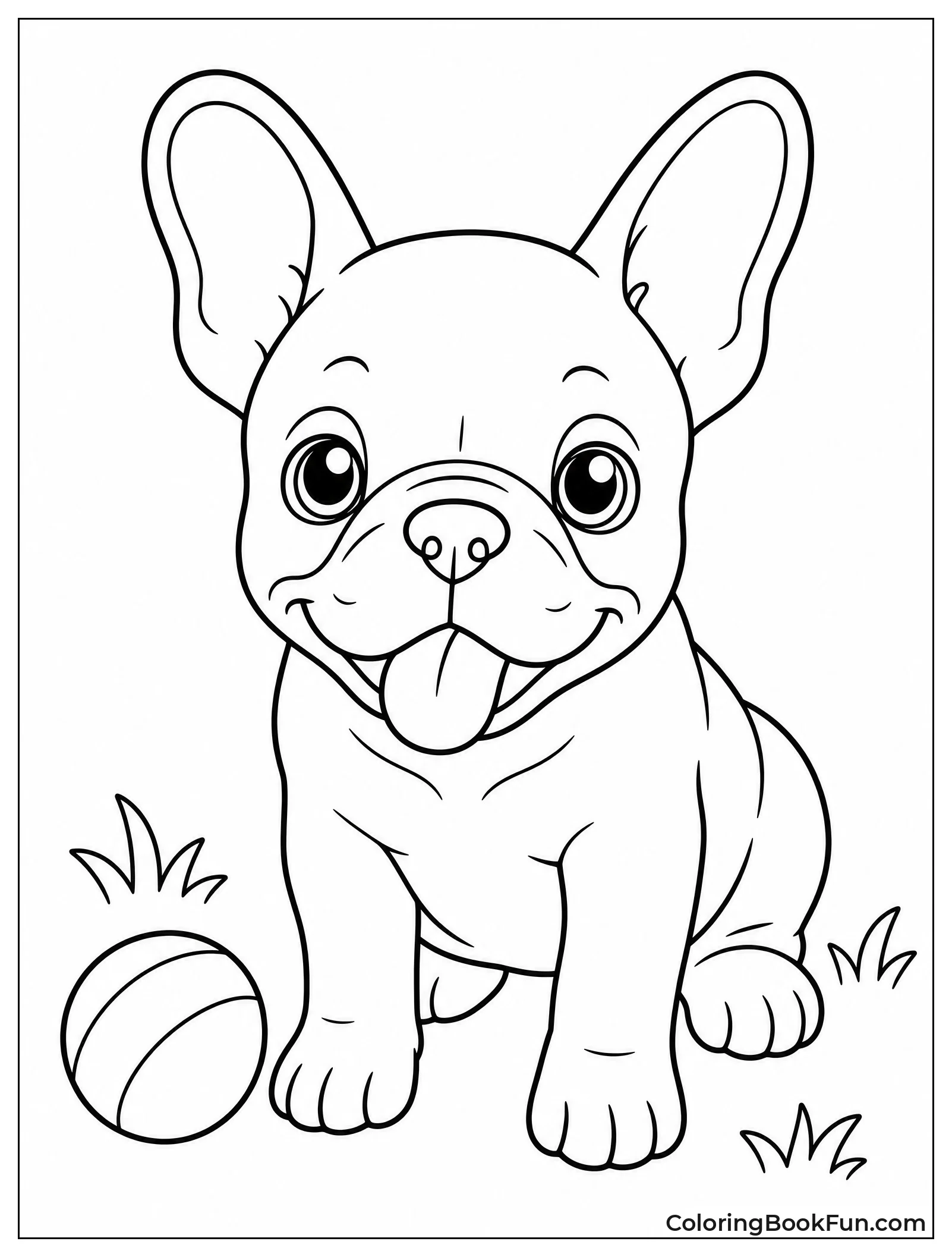 Cute French Bulldog Puppy Plays