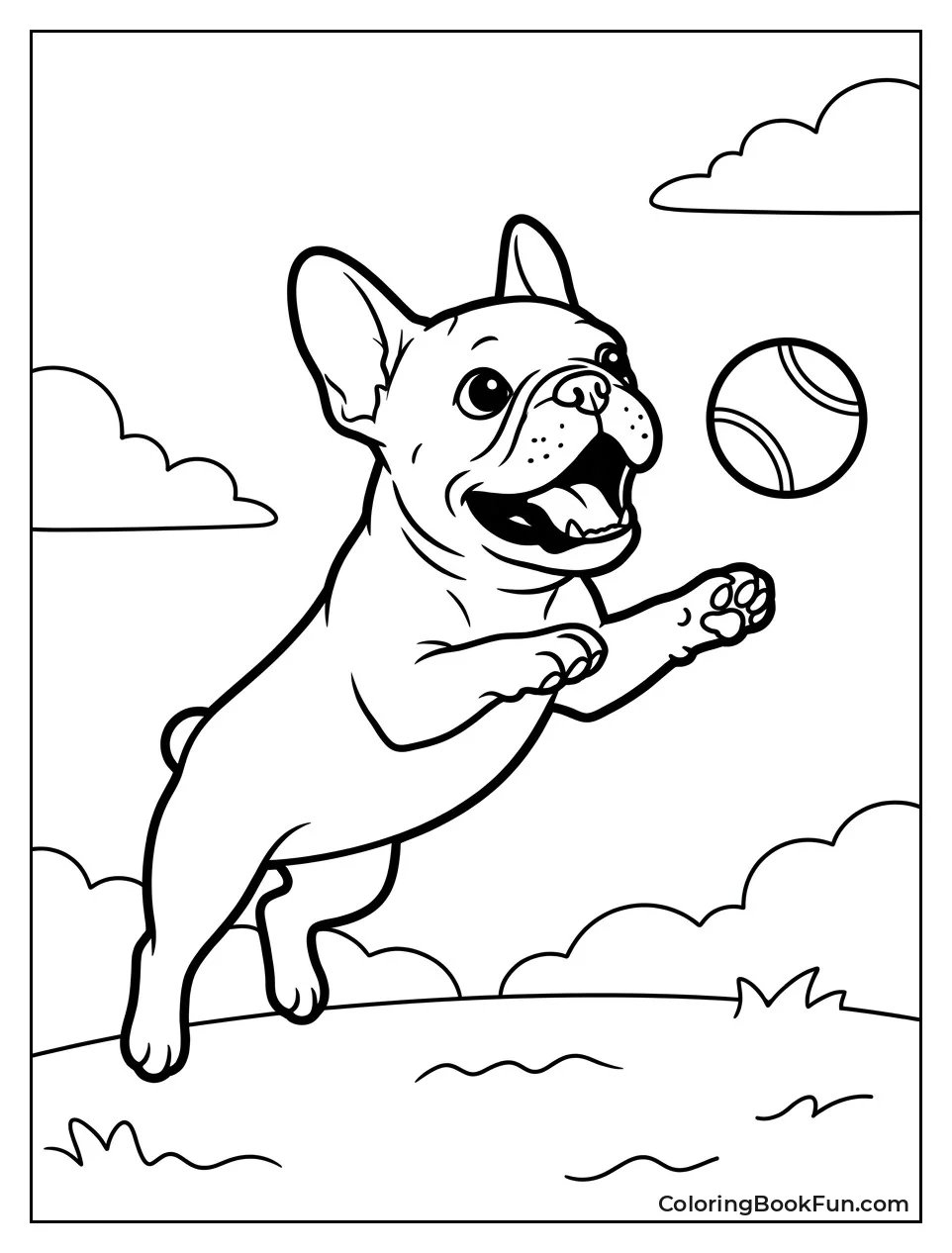 Frenchie Jumps for Tennis Ball