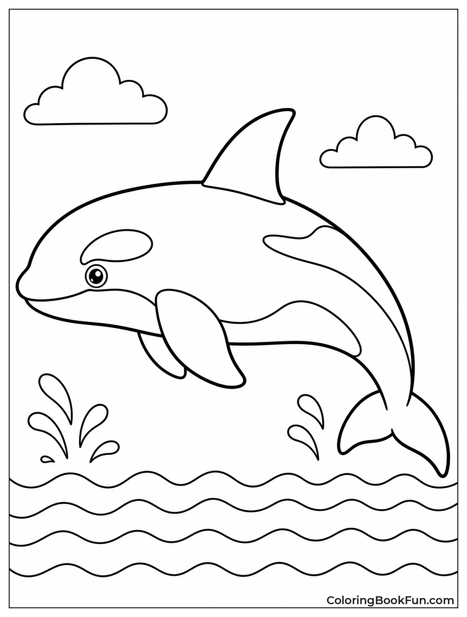 Detailed Side View of Orca