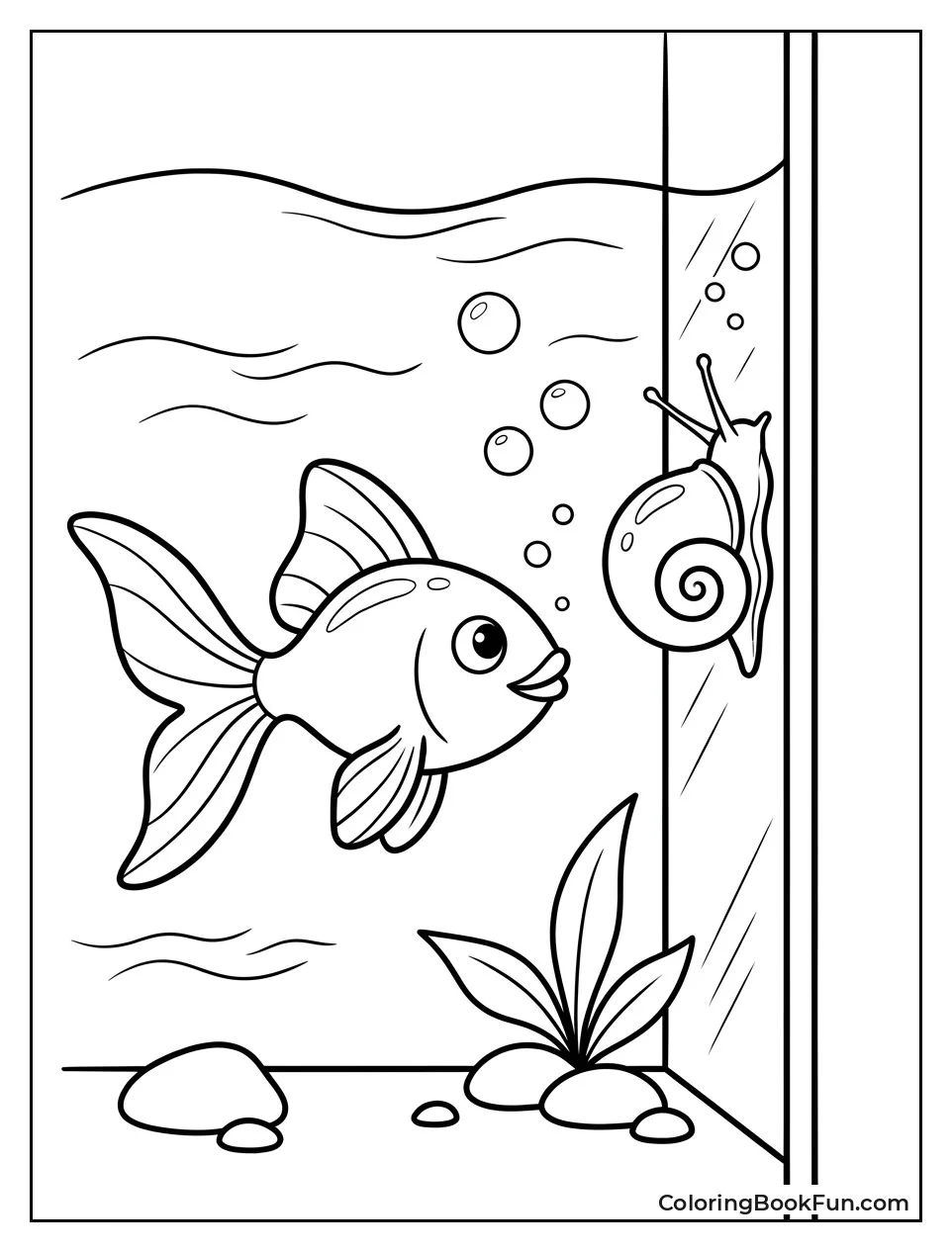 Goldfish Watches Snail On Glass