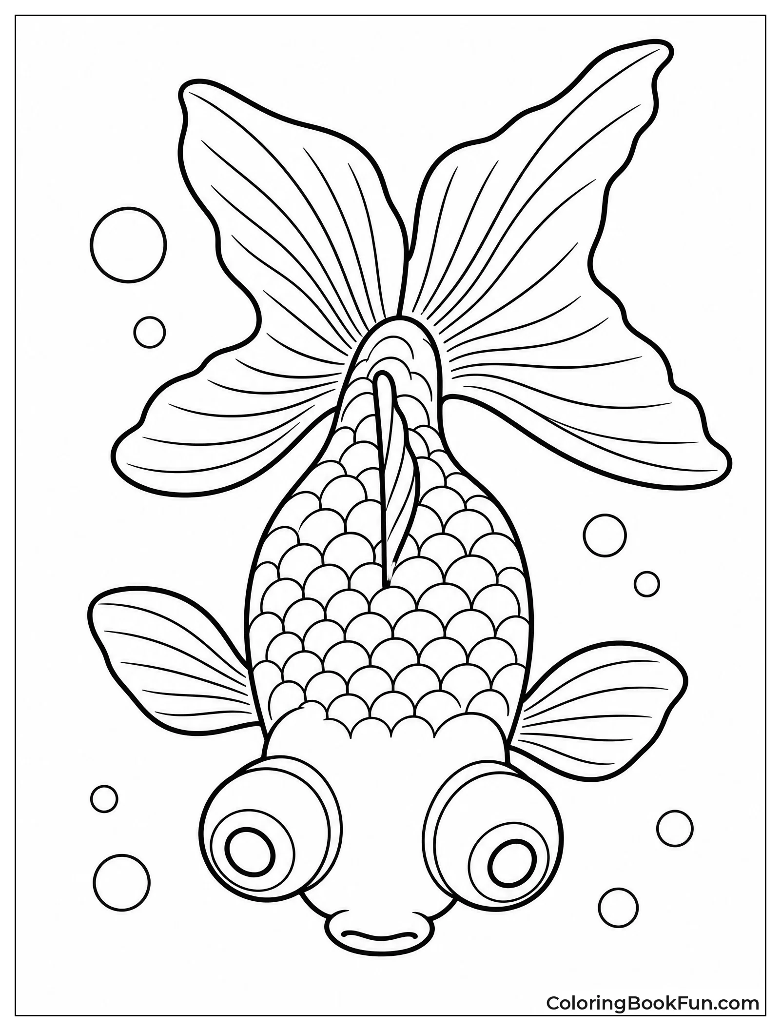 Black Moor Goldfish From Above