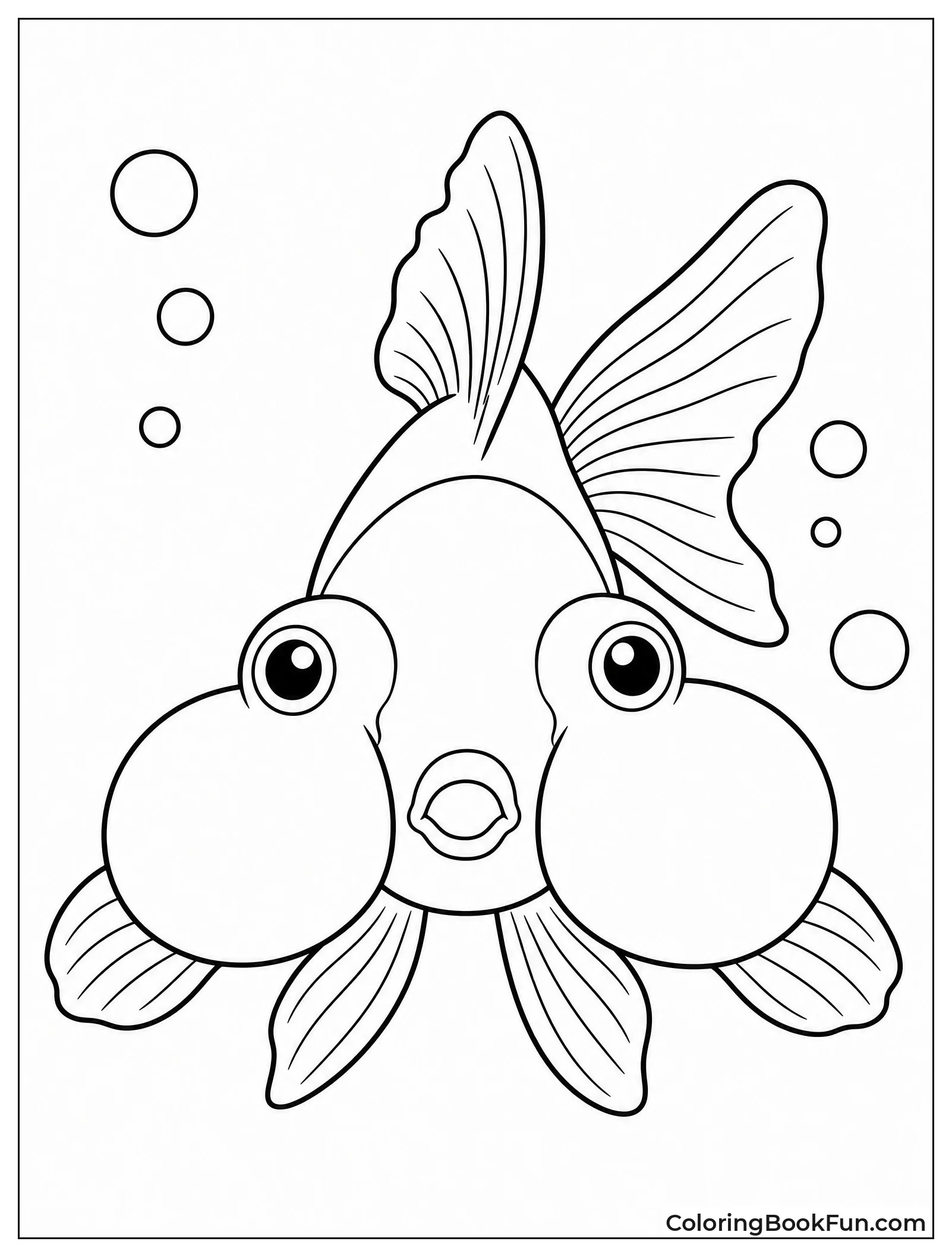 Bubble Eye Goldfish Looks Ahead