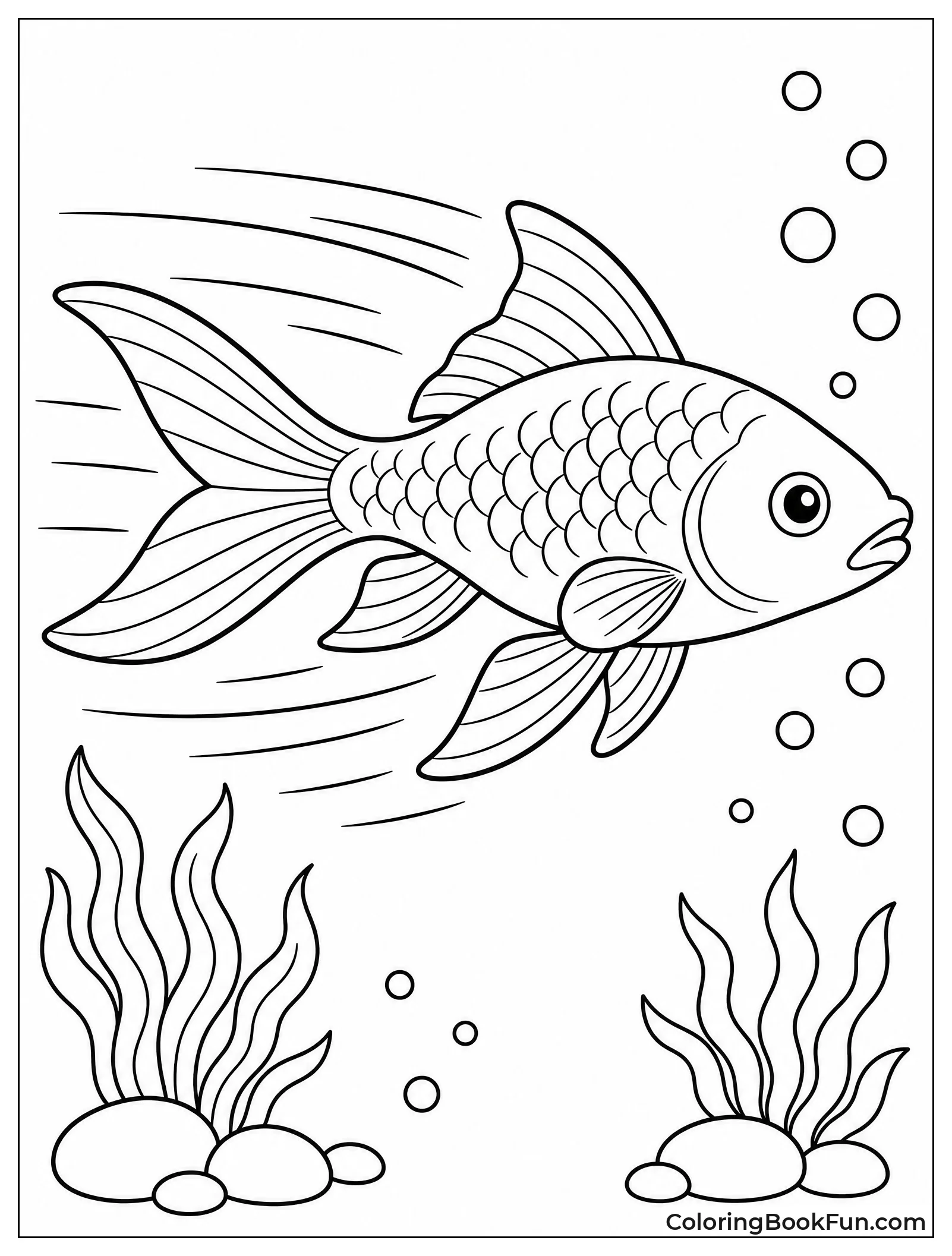 Comet Goldfish Races With Speed