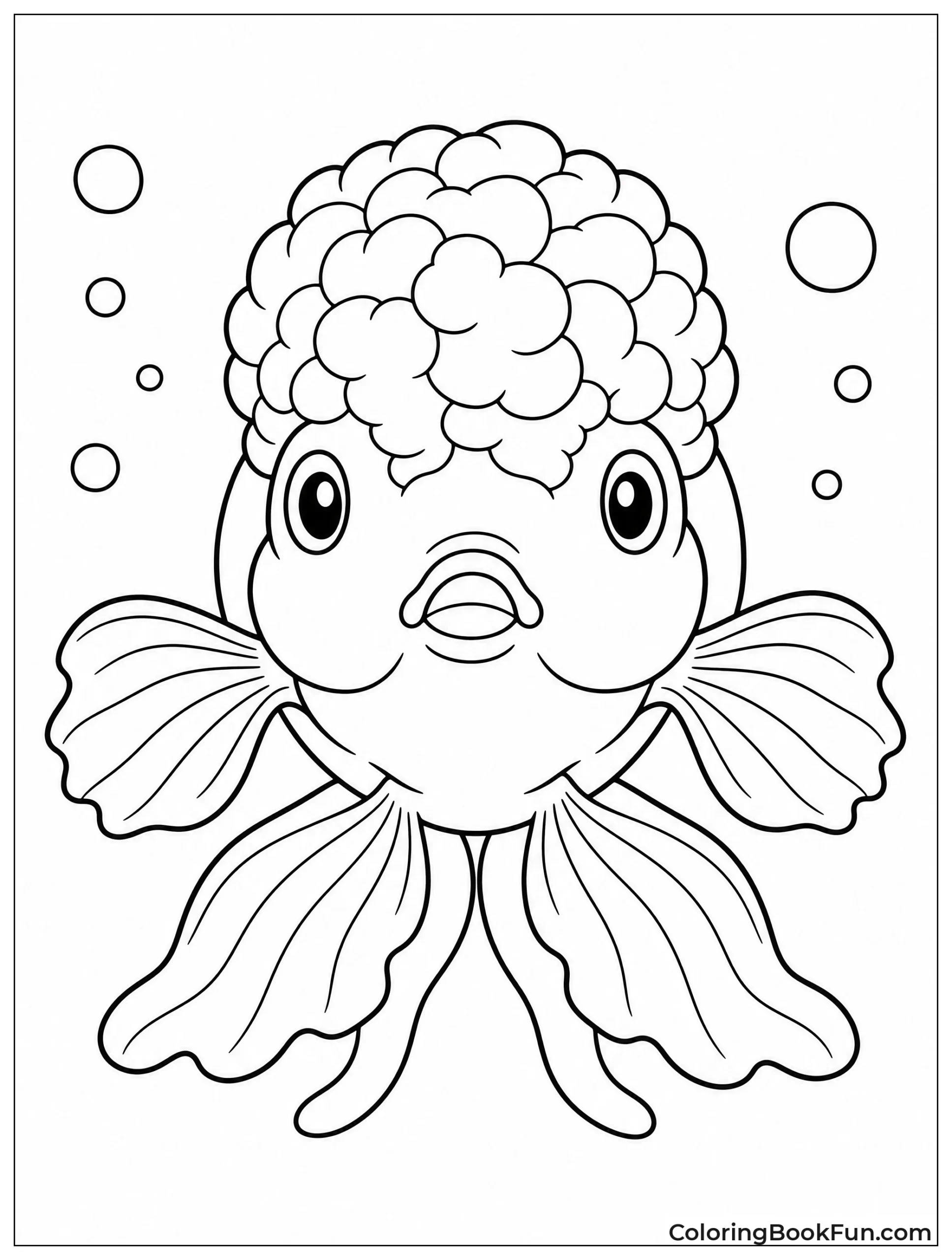 Lionhead Goldfish Shows Bumpy Head