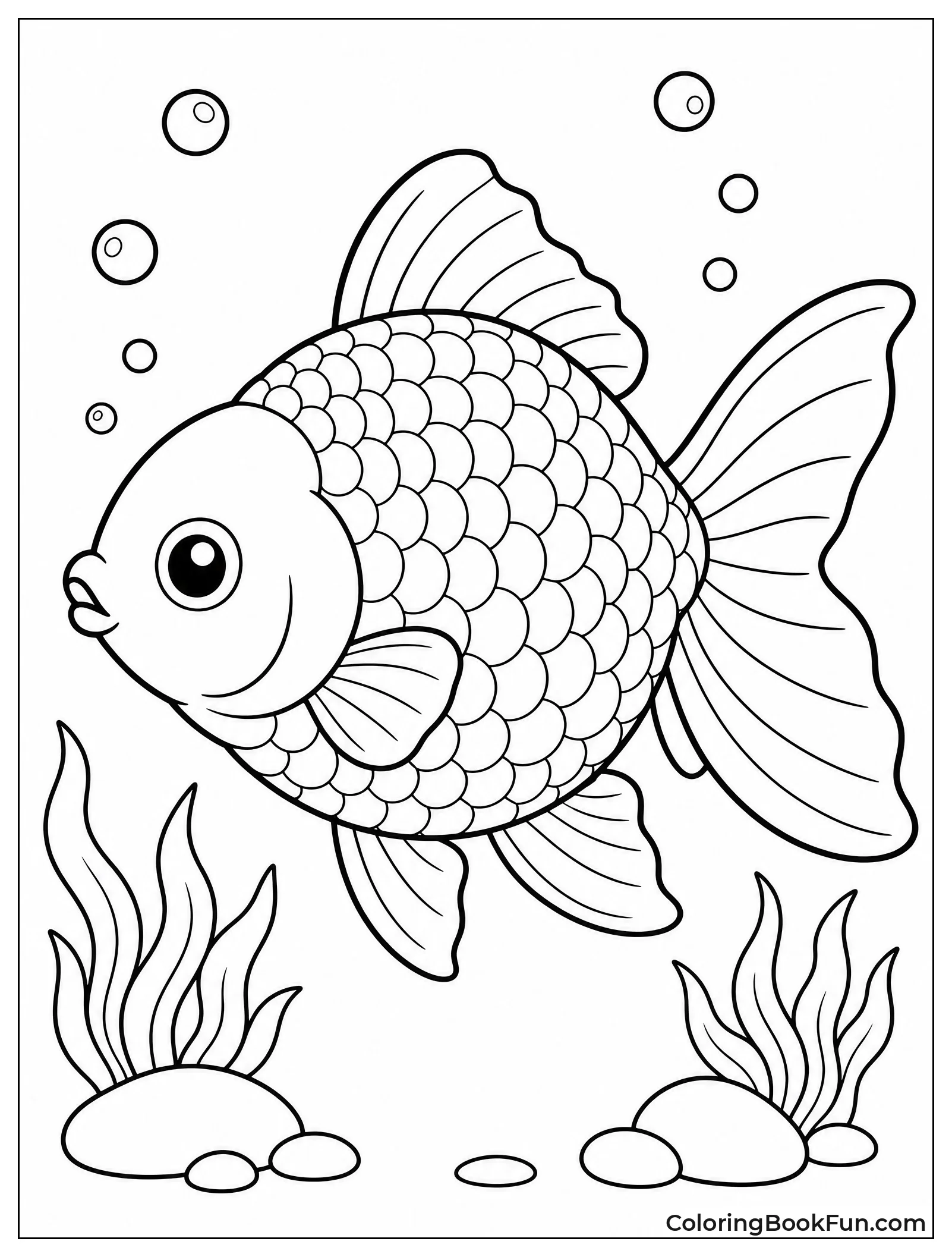 Round Pearlscale Goldfish Swims