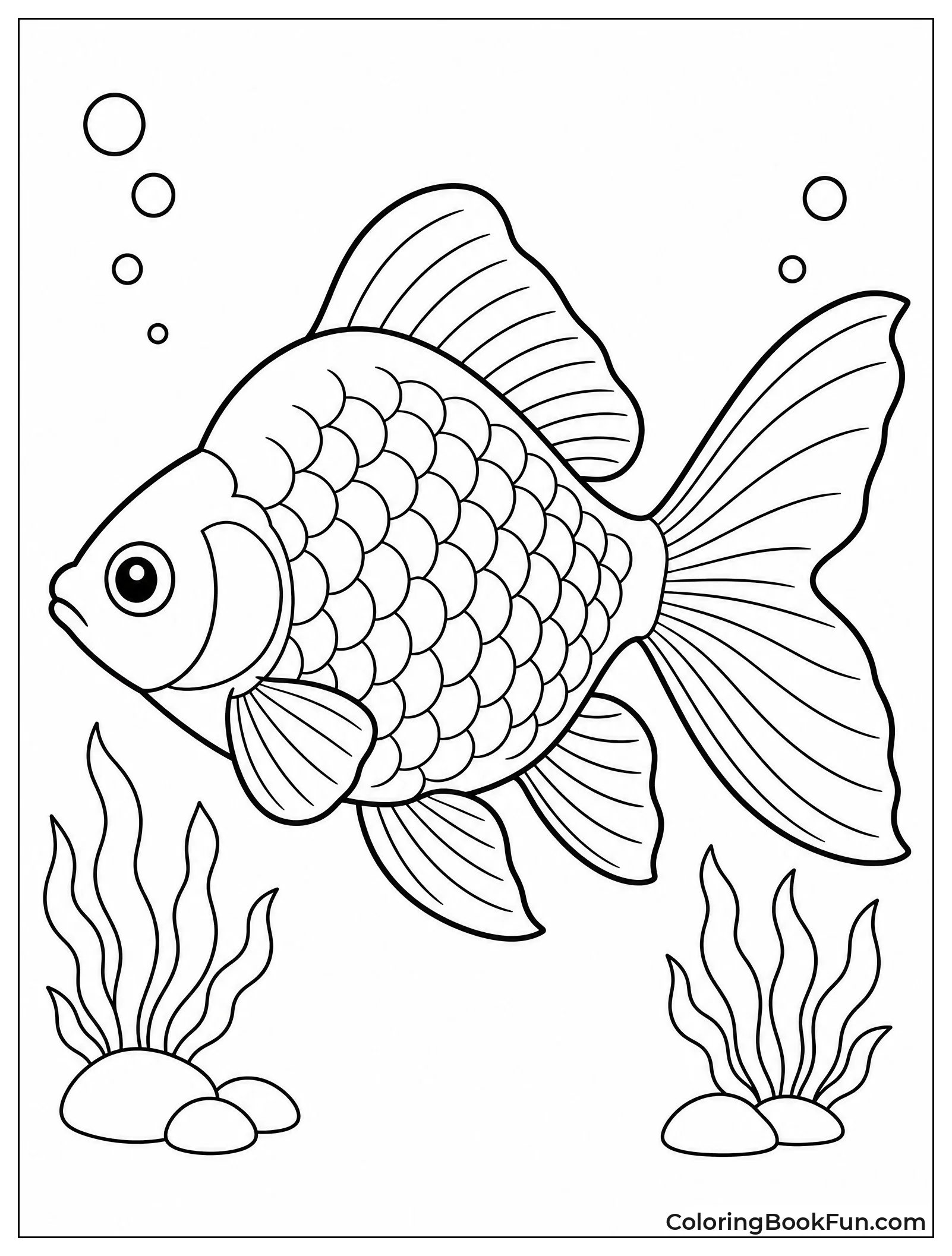 Ryukin Goldfish Shows High Back