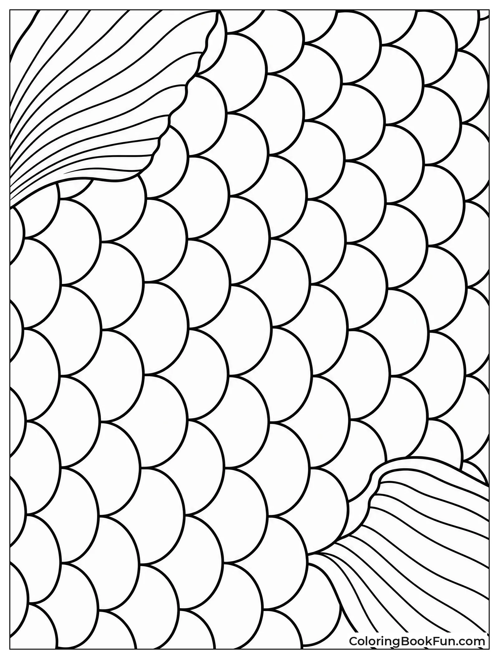 Close Up of Goldfish Scales