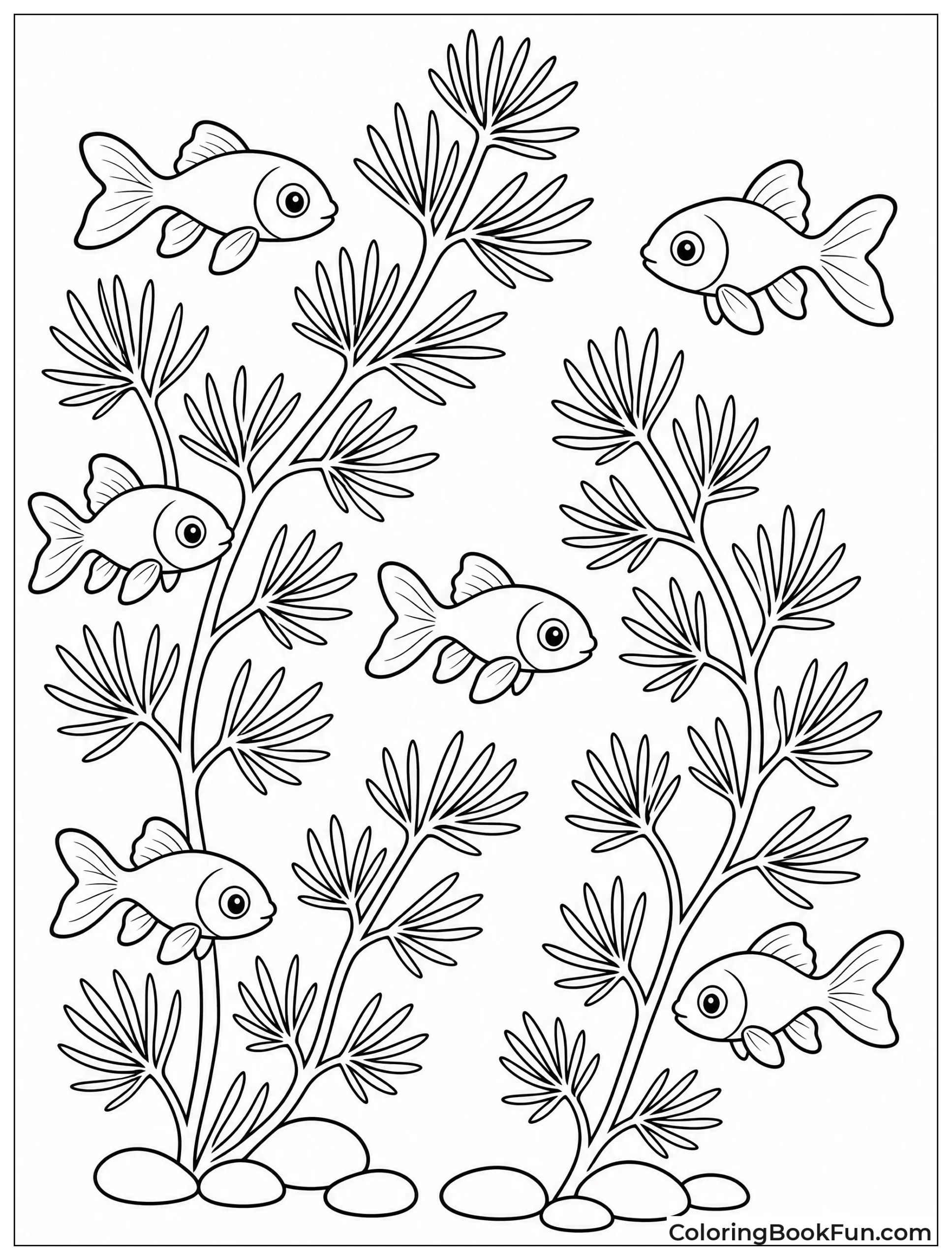 Tiny Fry Swim Among Plants