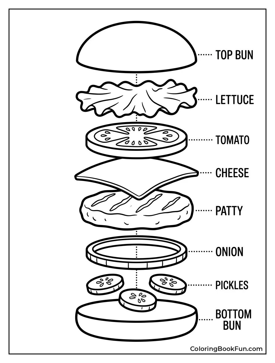 Burger Layers Shown in Diagram