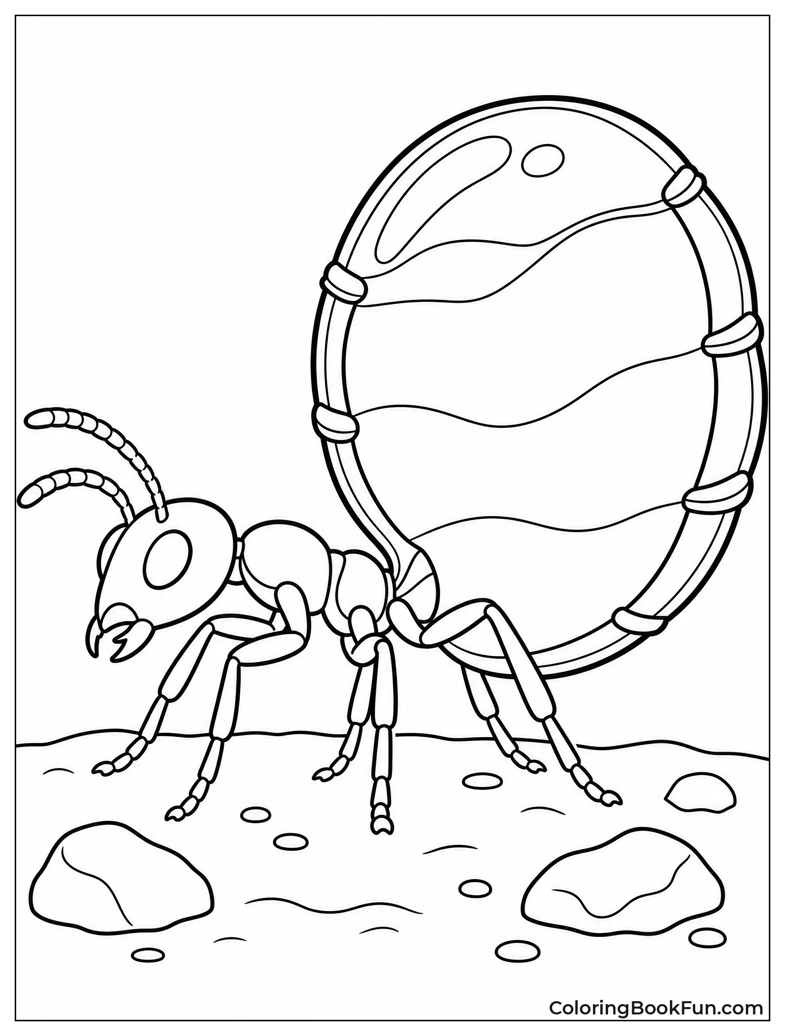 Honeypot Ant Stores Nectar