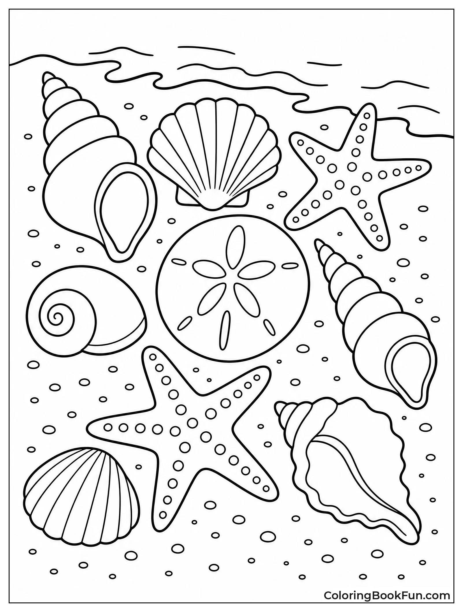 Seashells Lie on Sandy Beach