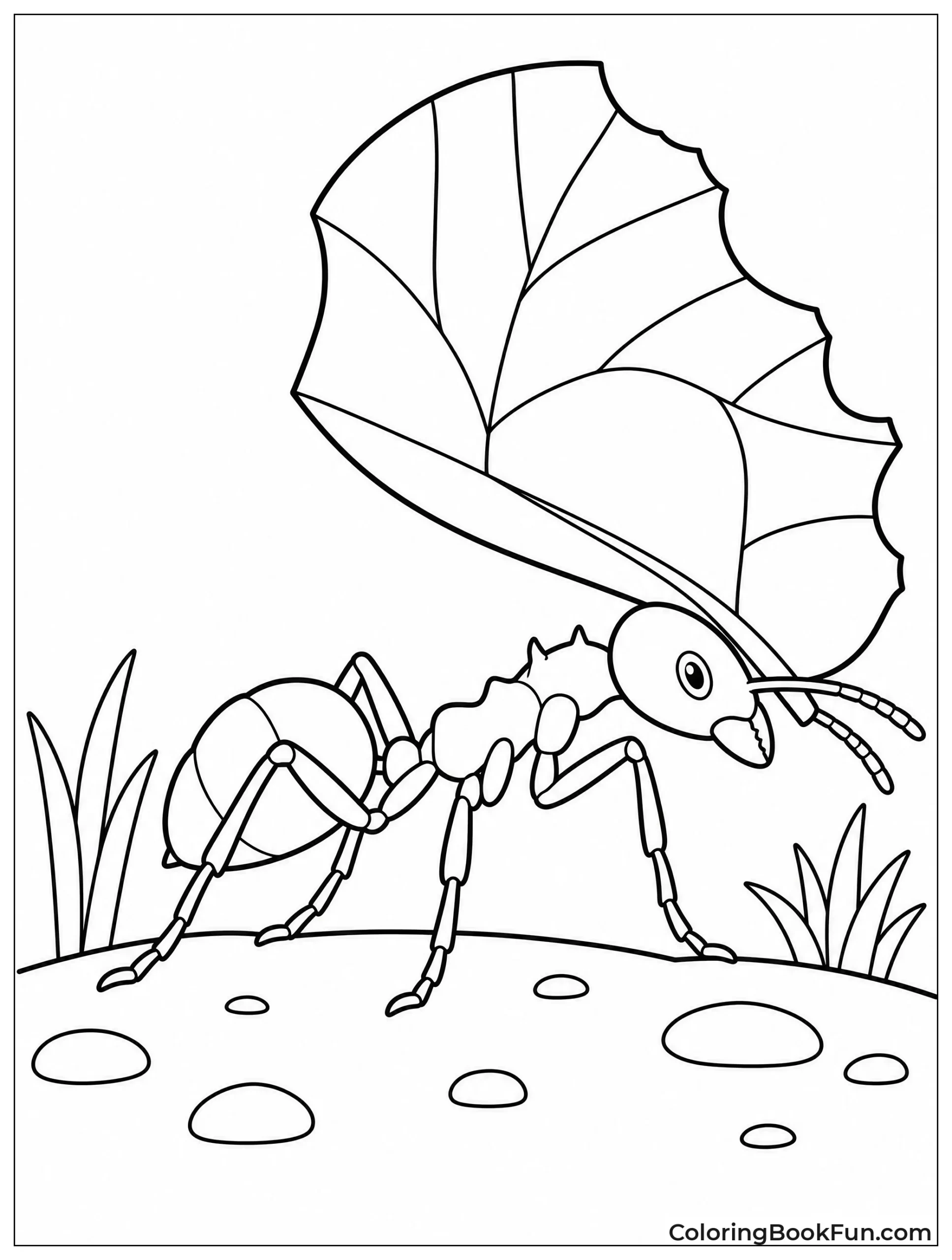 Leafcutter Ant Carrying a Large Leaf