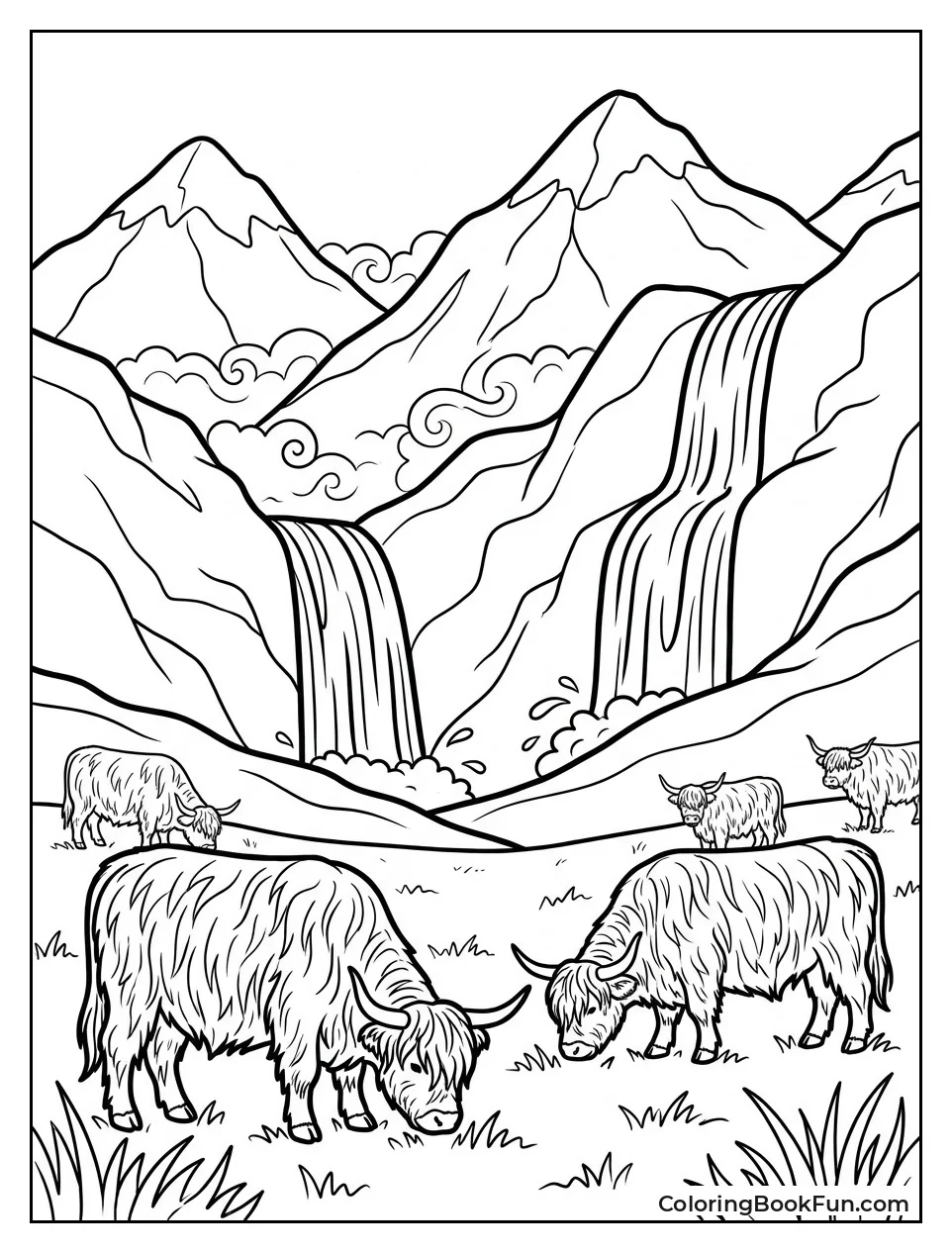 Highland Cows in Valley