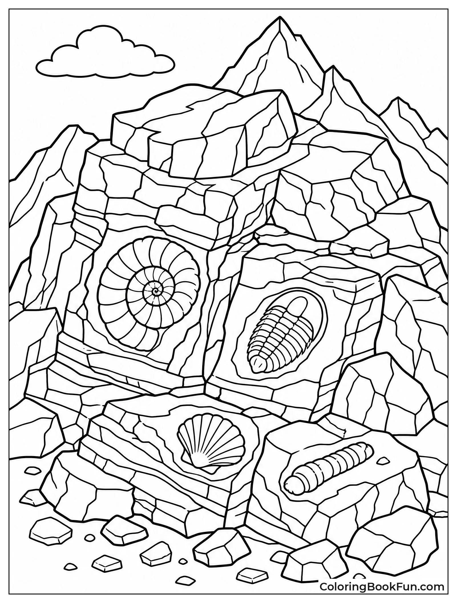 Rocks with Hidden Fossils