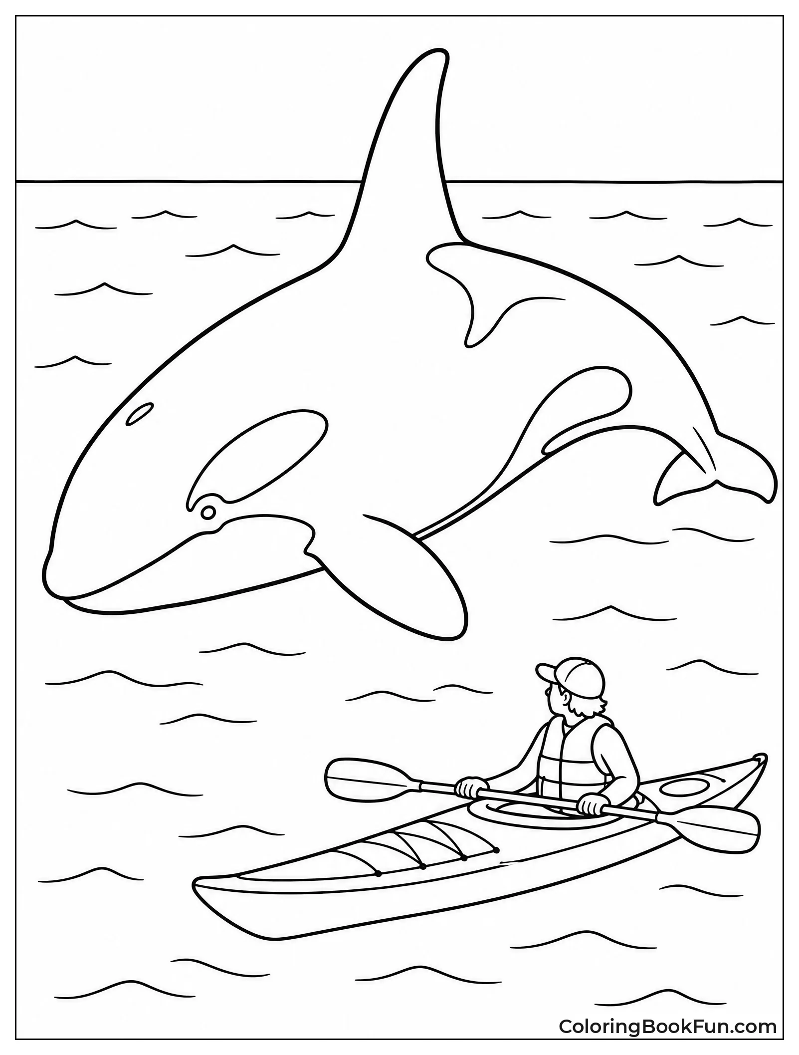 Huge Orca Beside Tiny Kayaker