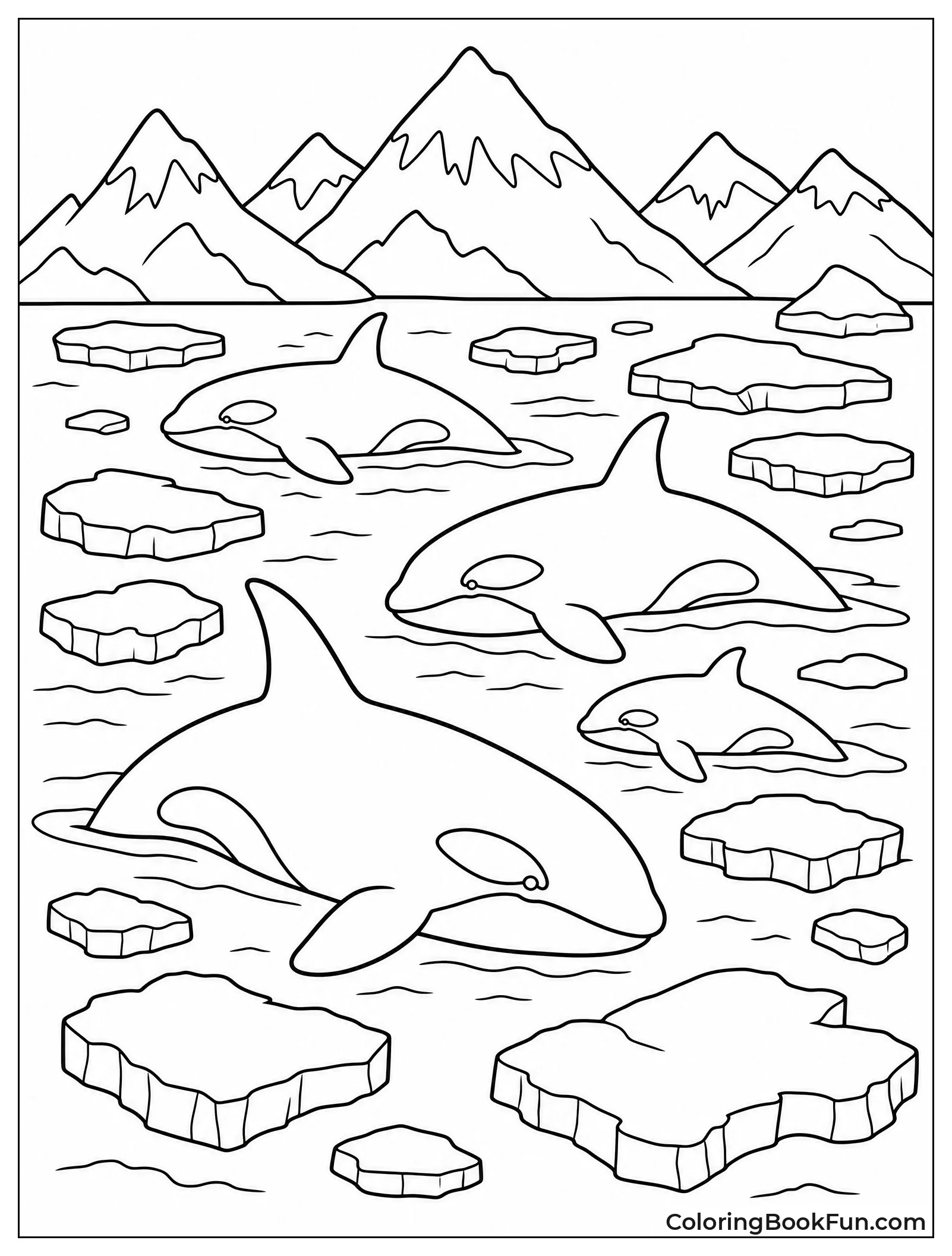 Orcas Swimming Past Icebergs