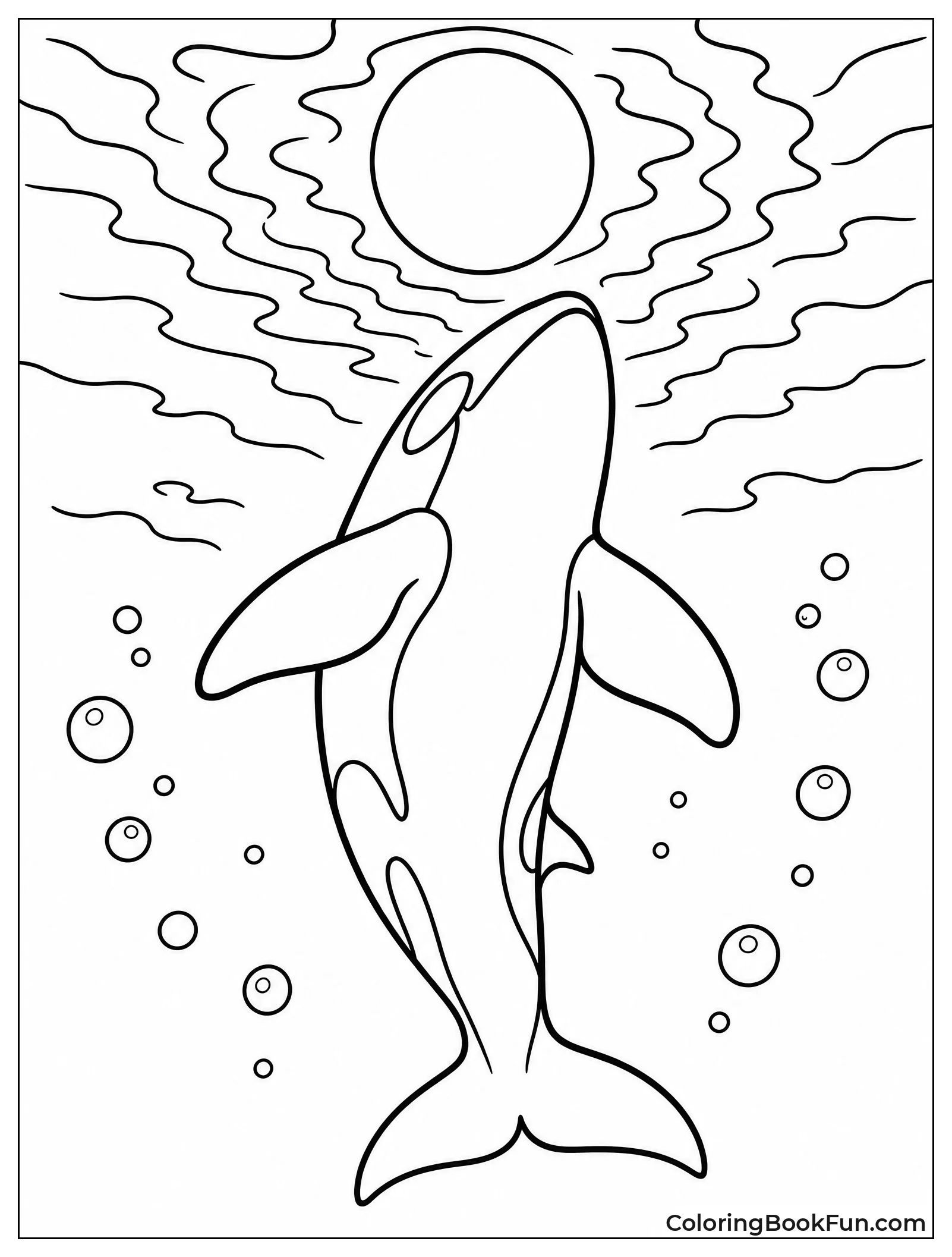 Orca Silhouette Under Bright Moon
