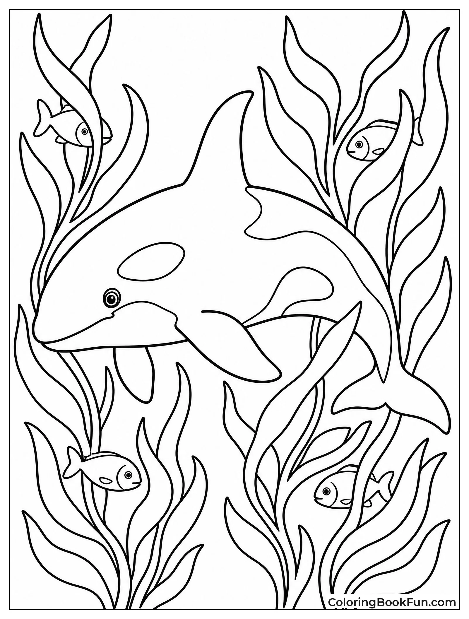 Orca Exploring Tall Kelp Forest