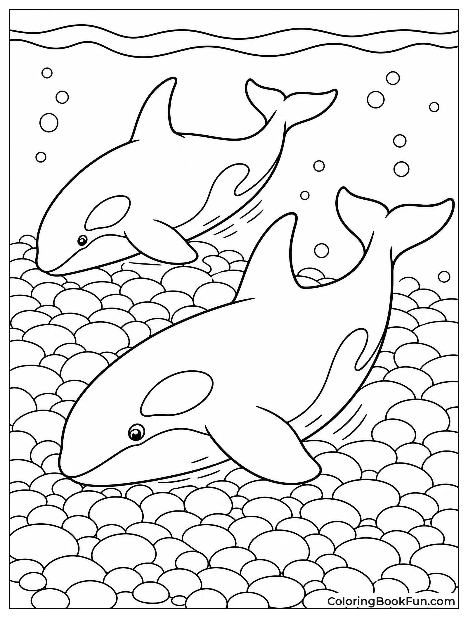 Orcas Rubbing on Smooth Pebbles