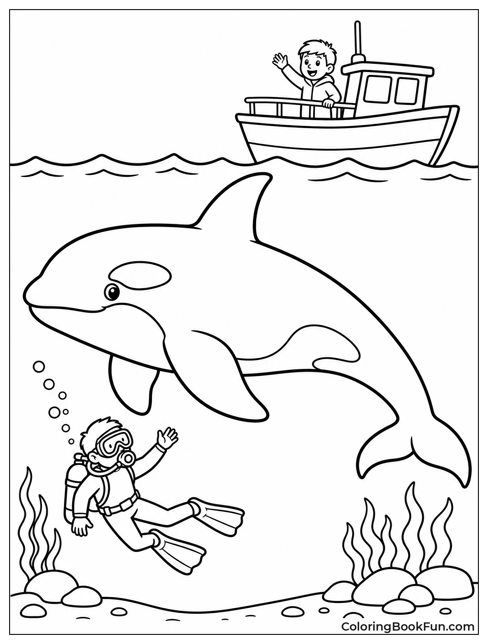 Orca Next to Small Boat