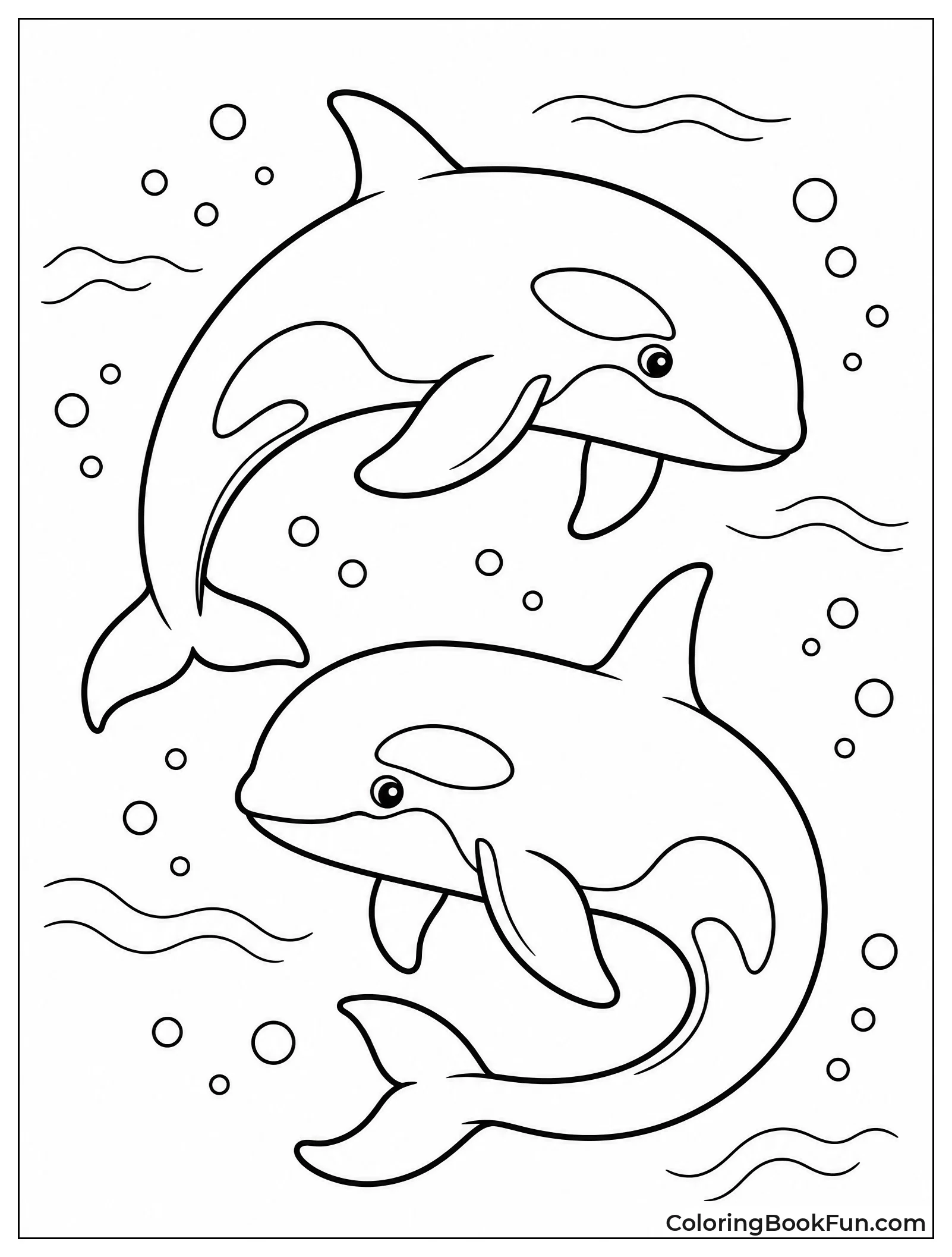 Two Orcas Swimming in Spirals