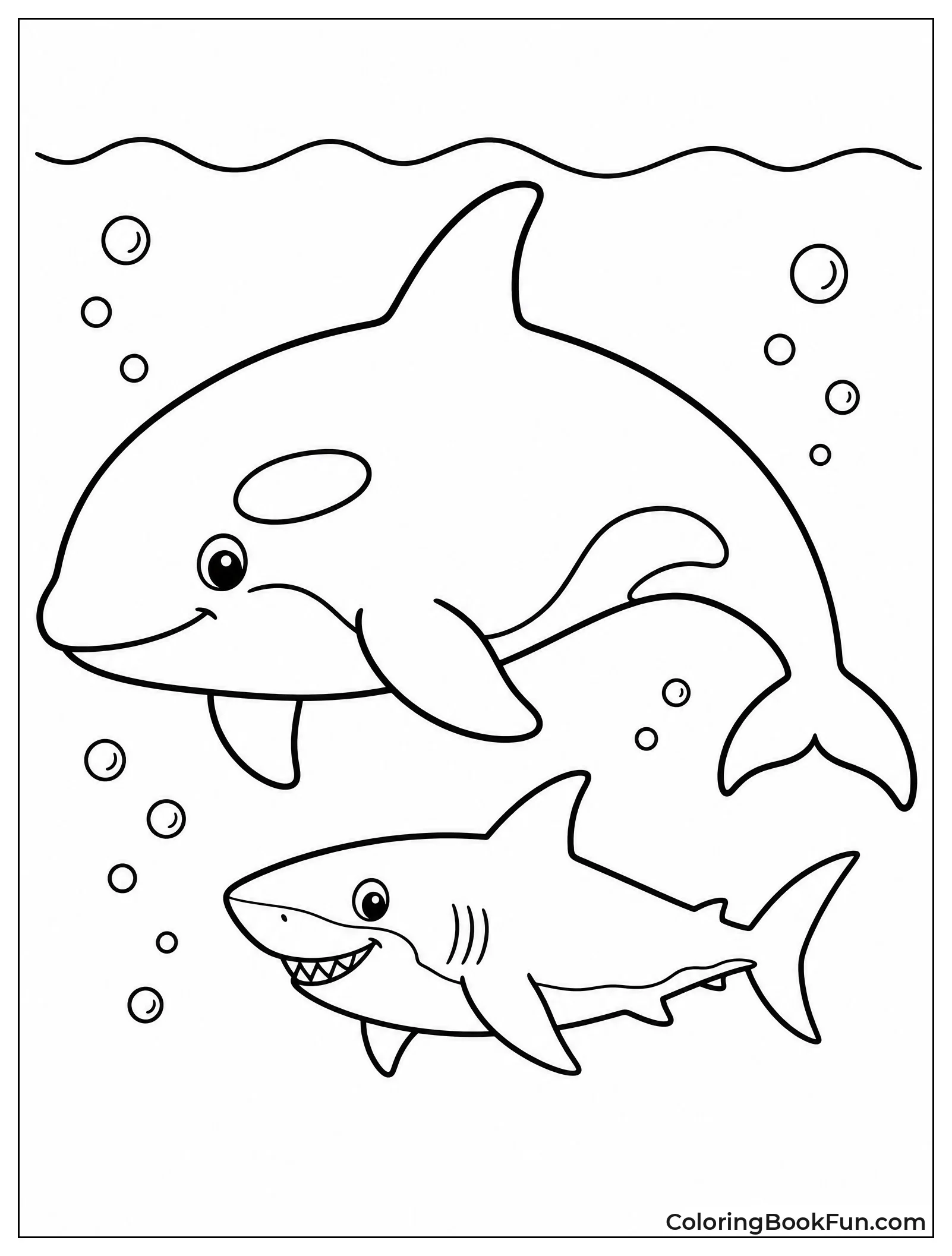 Orca Facing Great White Shark