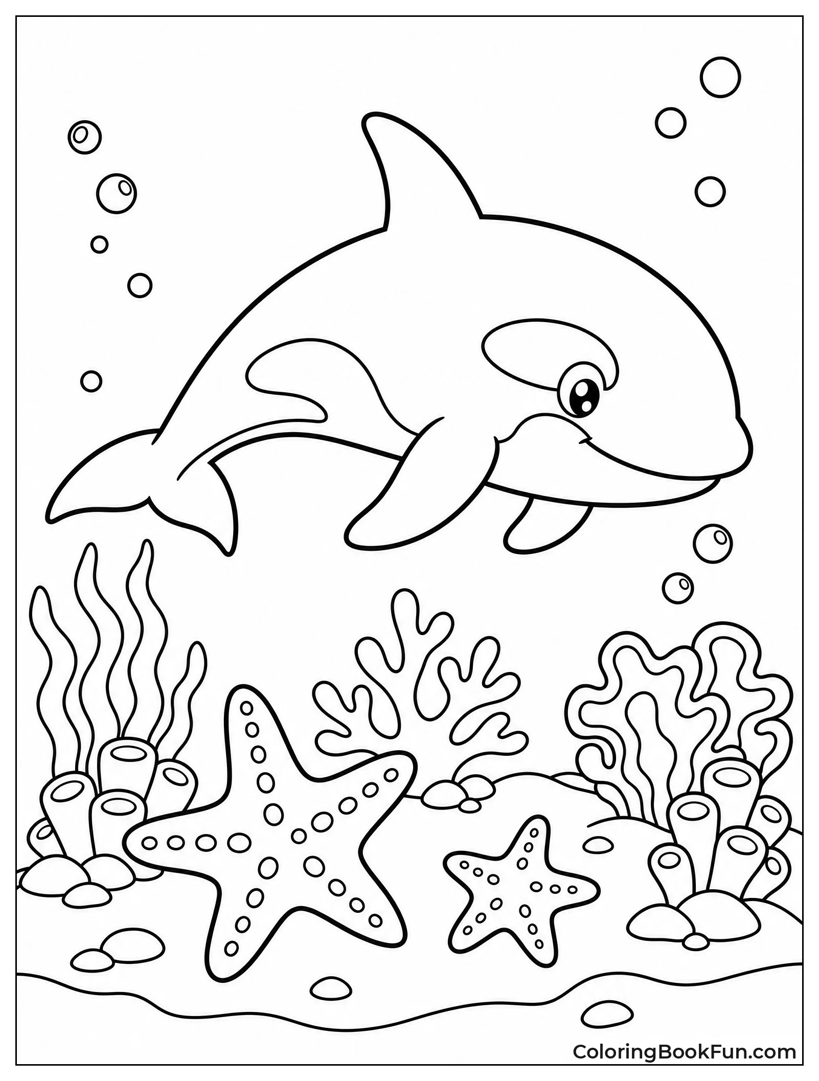 Orca Swimming Past Colorful Starfish