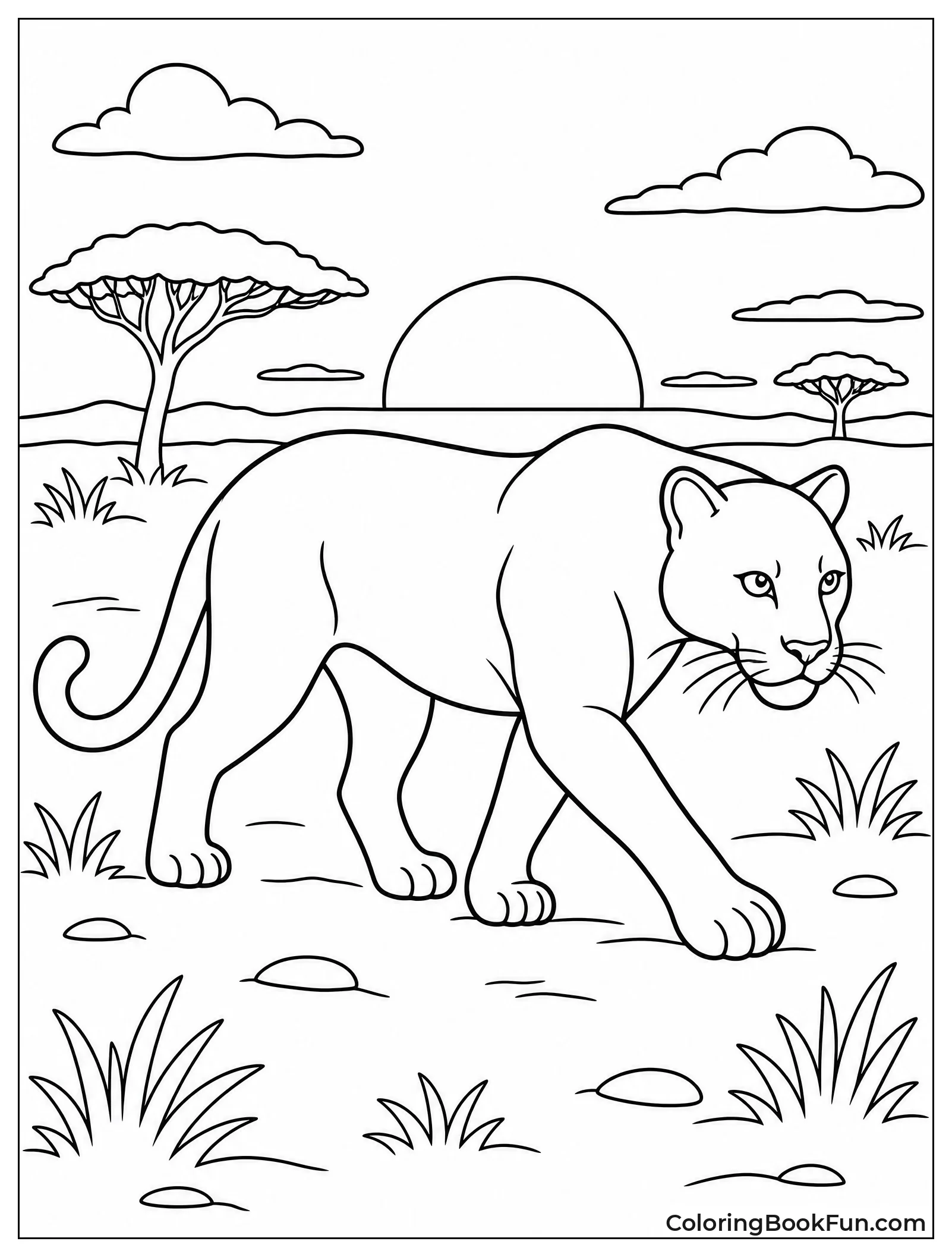 Panther Walking at Sundown