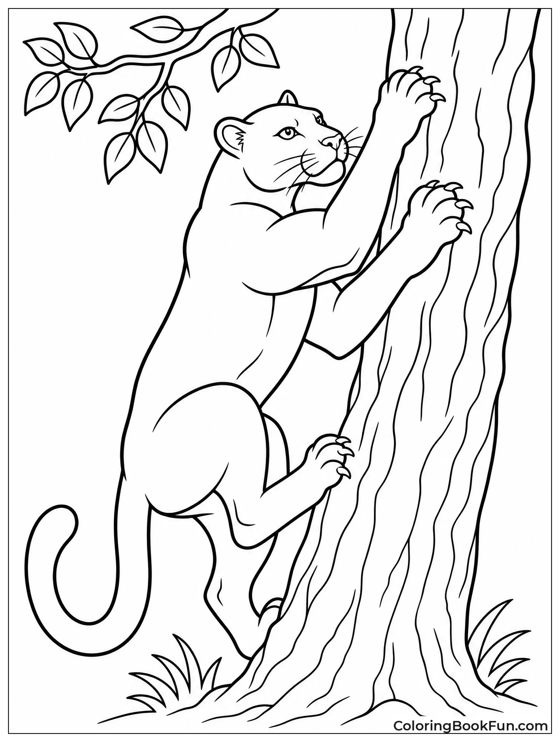 Panther Climbing up Tall Tree
