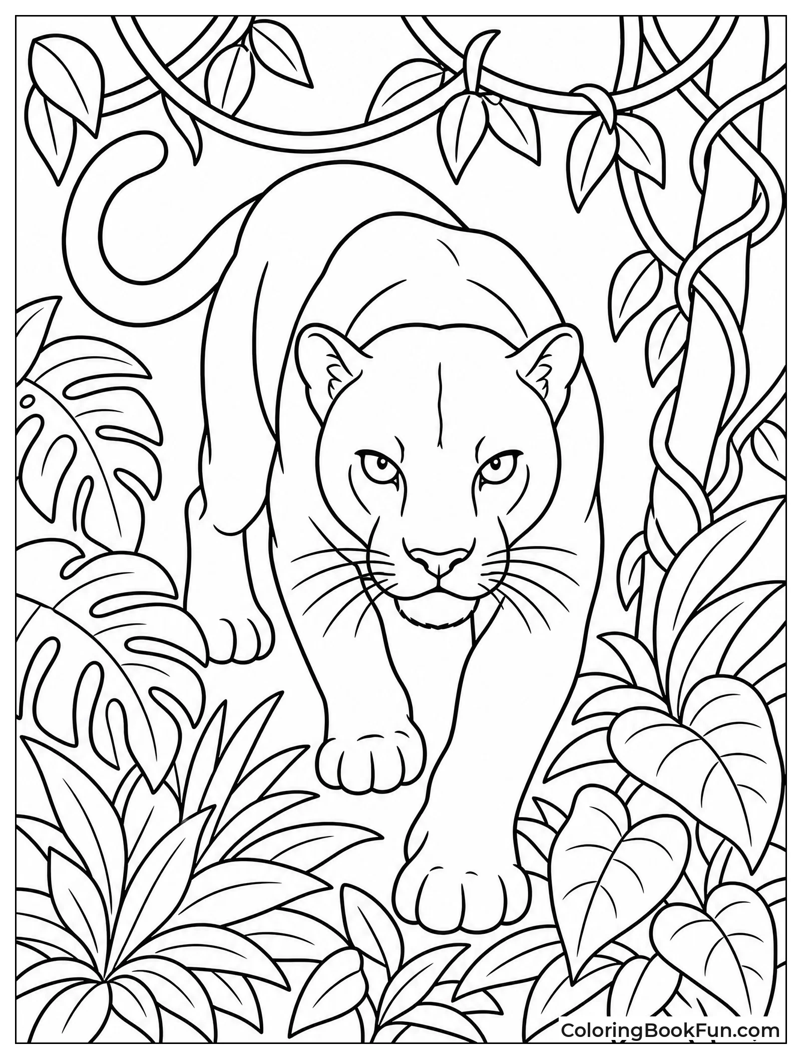 Panther Prowling Through Jungle