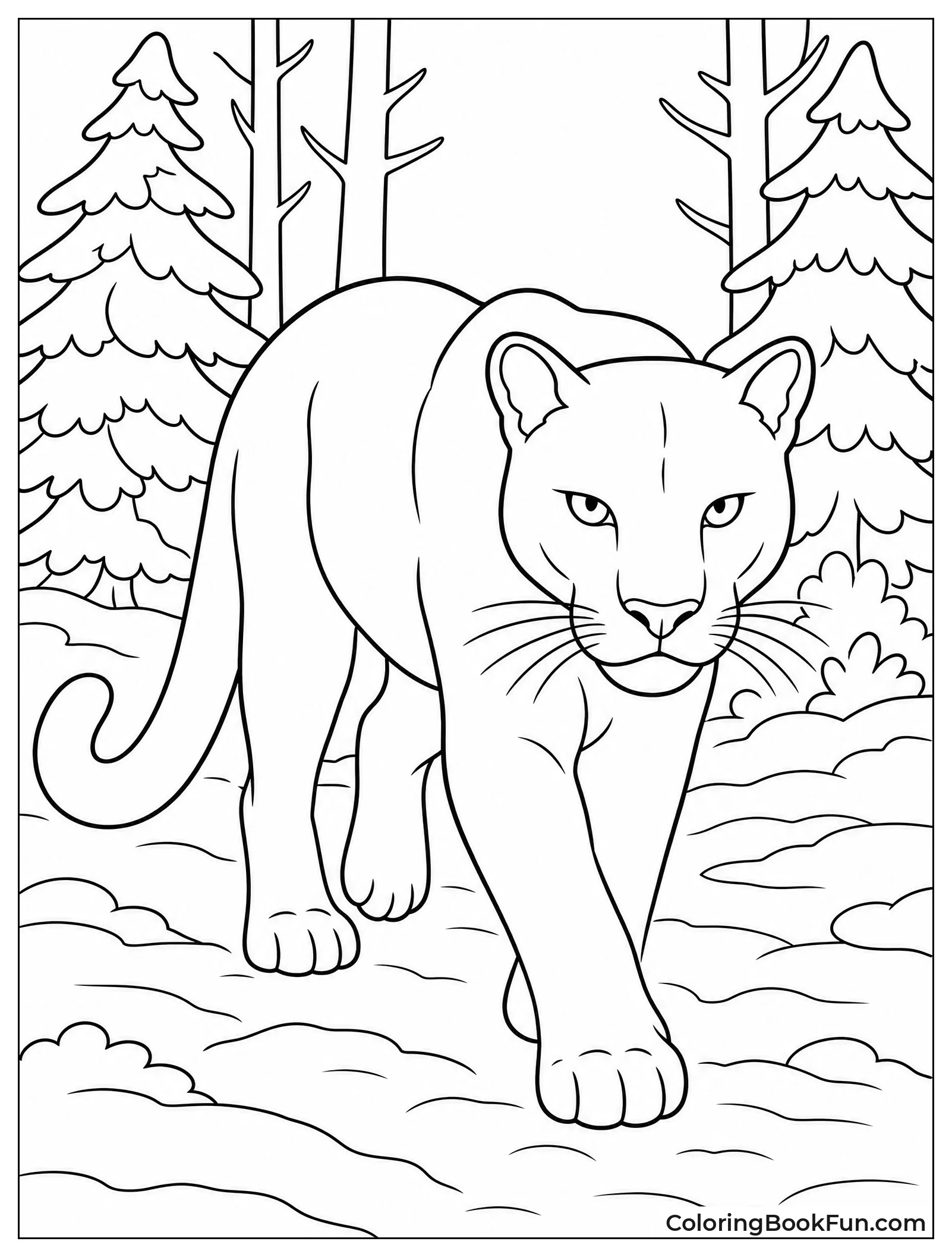 White Panther Walking in Snow