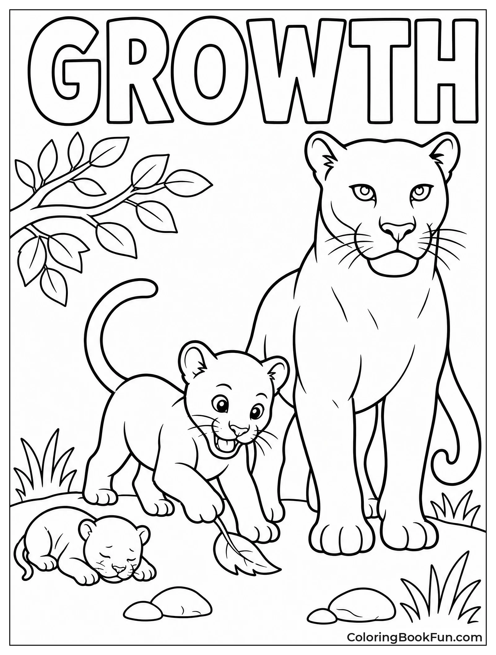Panther Life Cycle Stages