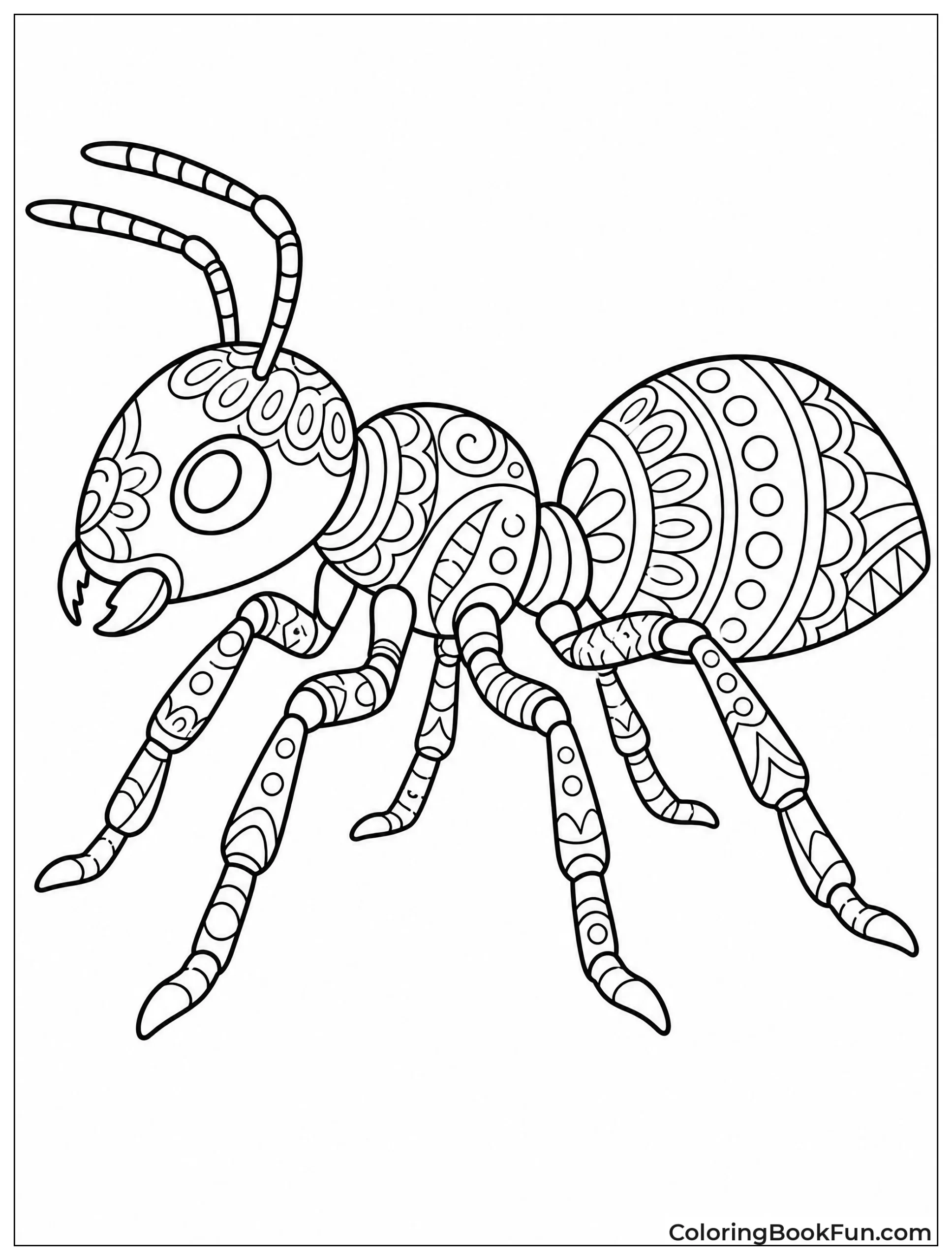 Ant Covered in Patterns